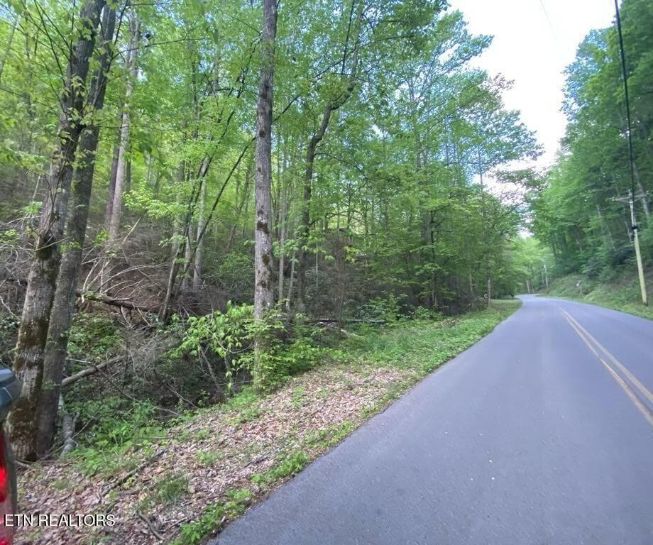 4c06a01b-cd41-4dc8-a9b4-2ce217fc912d - Lot 26 Alpine Drive, Sevierville, TN 37876