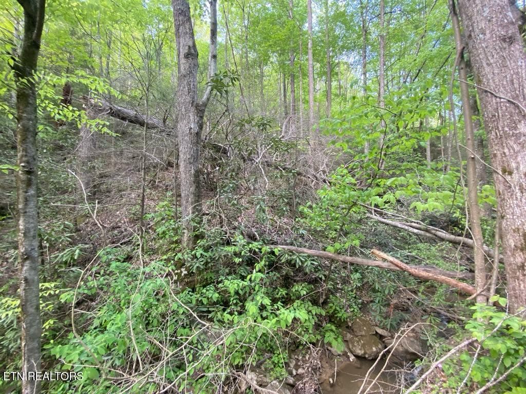 33b9a5d5-8a93-4cd2-9a18-3cd0878b9db8 - Lot 26 Alpine Drive, Sevierville, TN 37876