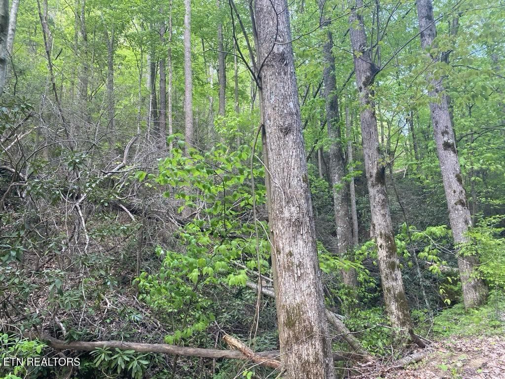 831dc089-688f-42a4-869b-90632dc64147 - Lot 26 Alpine Drive, Sevierville, TN 37876