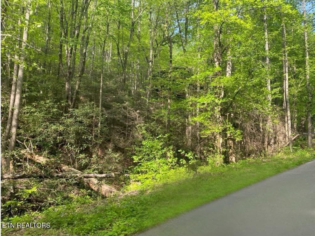 5144860a-bcde-4b2d-aa1f-96f0373ce482 - Lot 26 Alpine Drive, Sevierville, TN 37876
