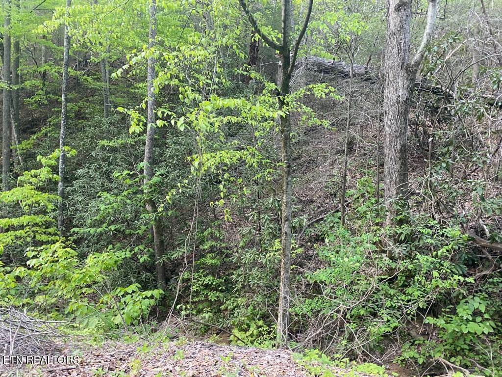 b54ab1bd-50f3-45d3-8ba4-f0314171f4aa - Lot 26 Alpine Drive, Sevierville, TN 37876