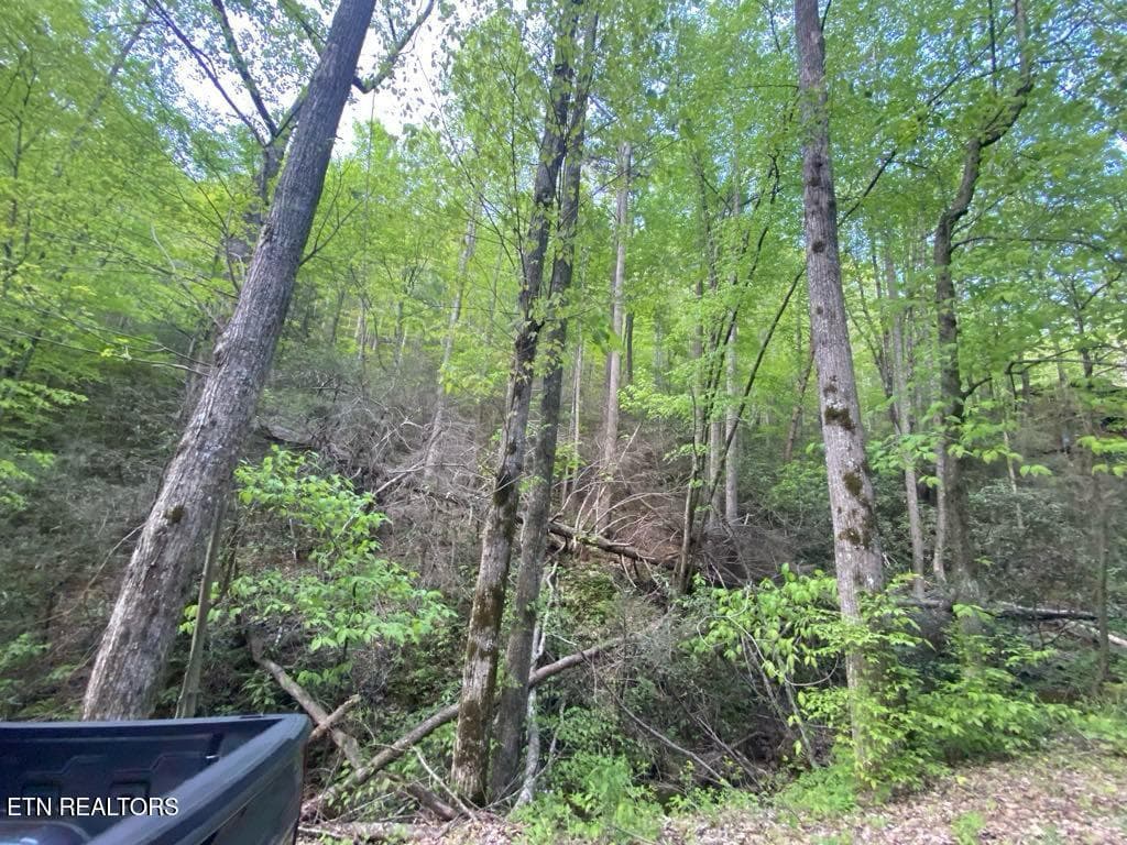 d969892d-7618-4034-91b0-635da61d42bc - Lot 26 Alpine Drive, Sevierville, TN 37876