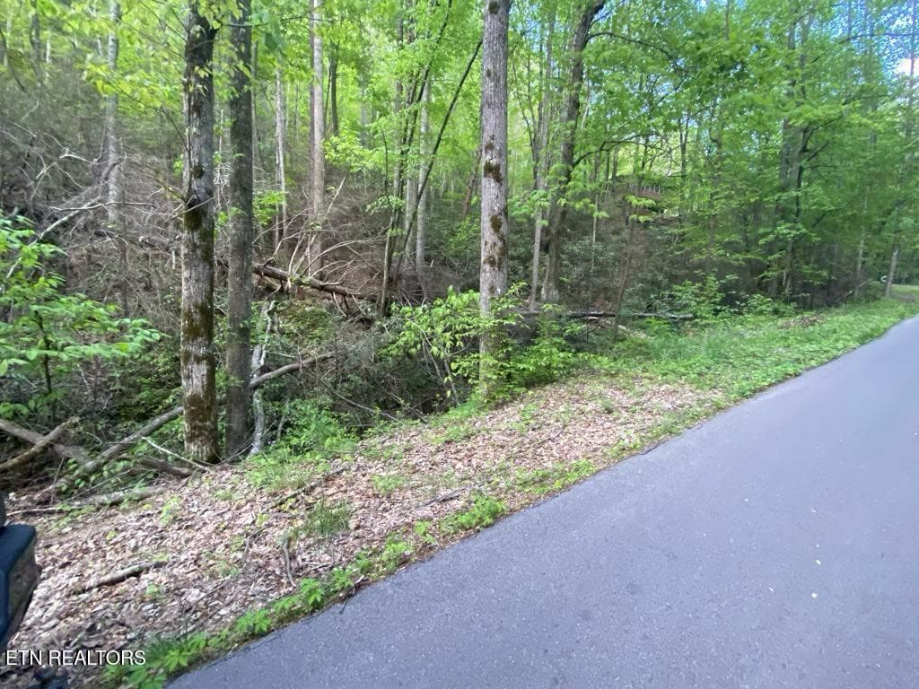 ef917091-69e6-4641-8905-d8ed6534891e - Lot 26 Alpine Drive, Sevierville, TN 37876