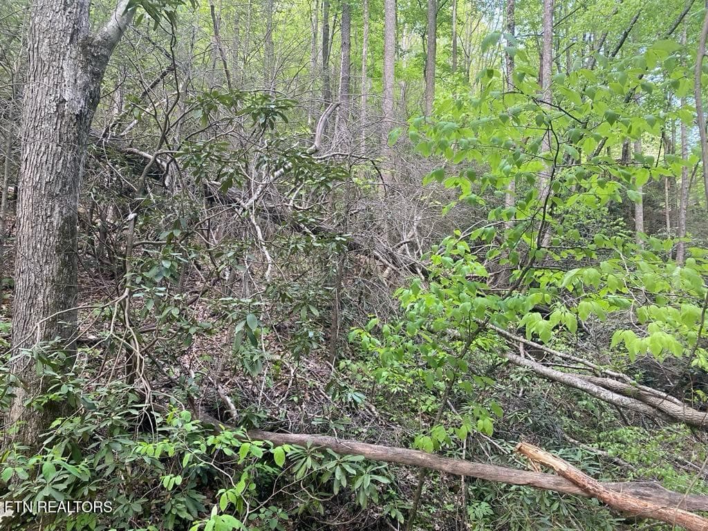 fc24de51-1709-4888-b7fb-c7d300372f44 - Lot 26 Alpine Drive, Sevierville, TN 37876