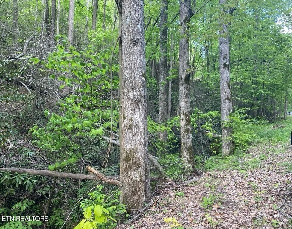 da05147e-f28d-44dc-a245-ad4b7db932b9 - Lot 26 Alpine Drive, Sevierville, TN 37876