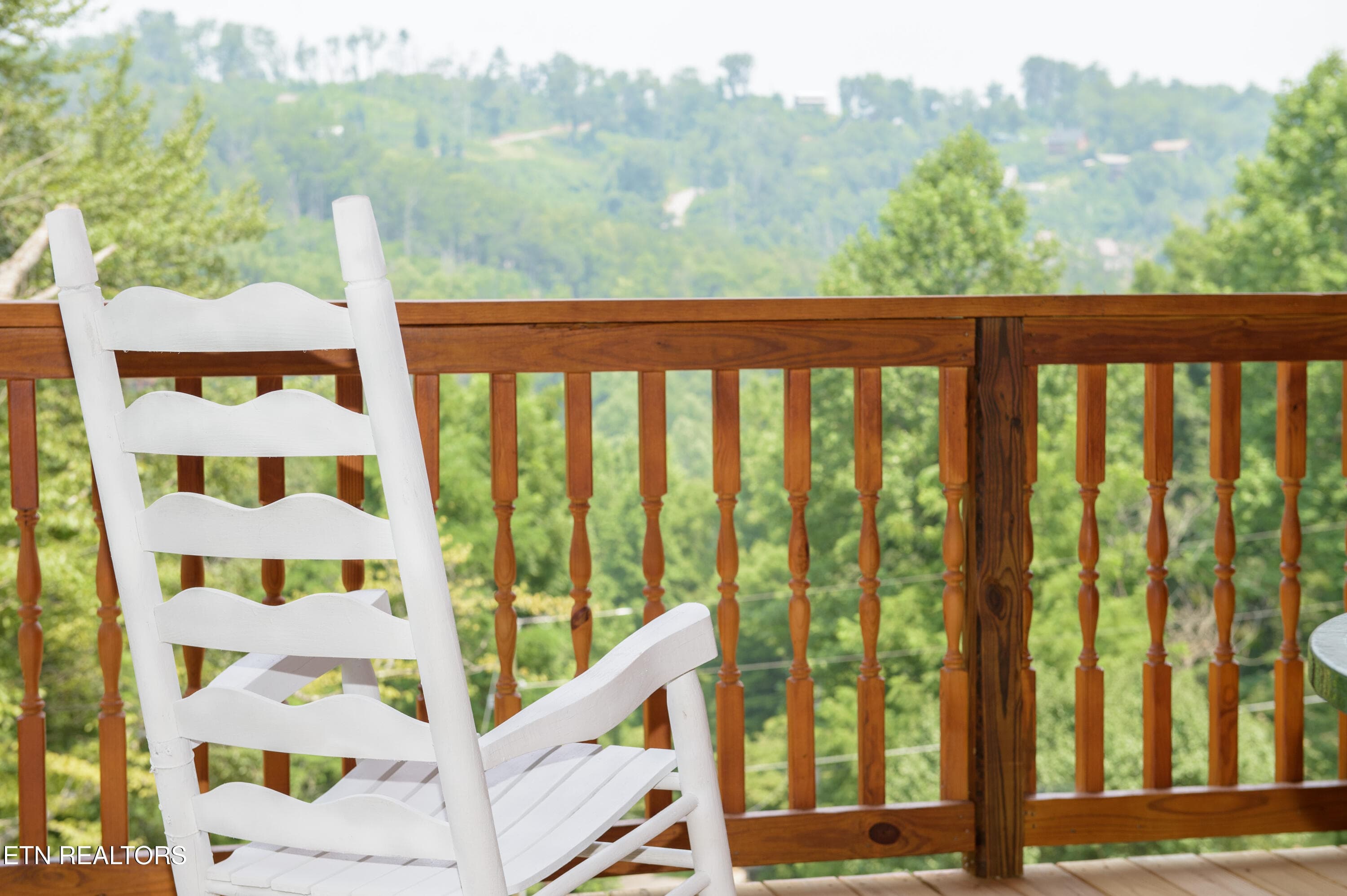 rayburn-0066 - 363 Lewis Clabo Rd, Gatlinburg, TN 37738, Gatlinburg