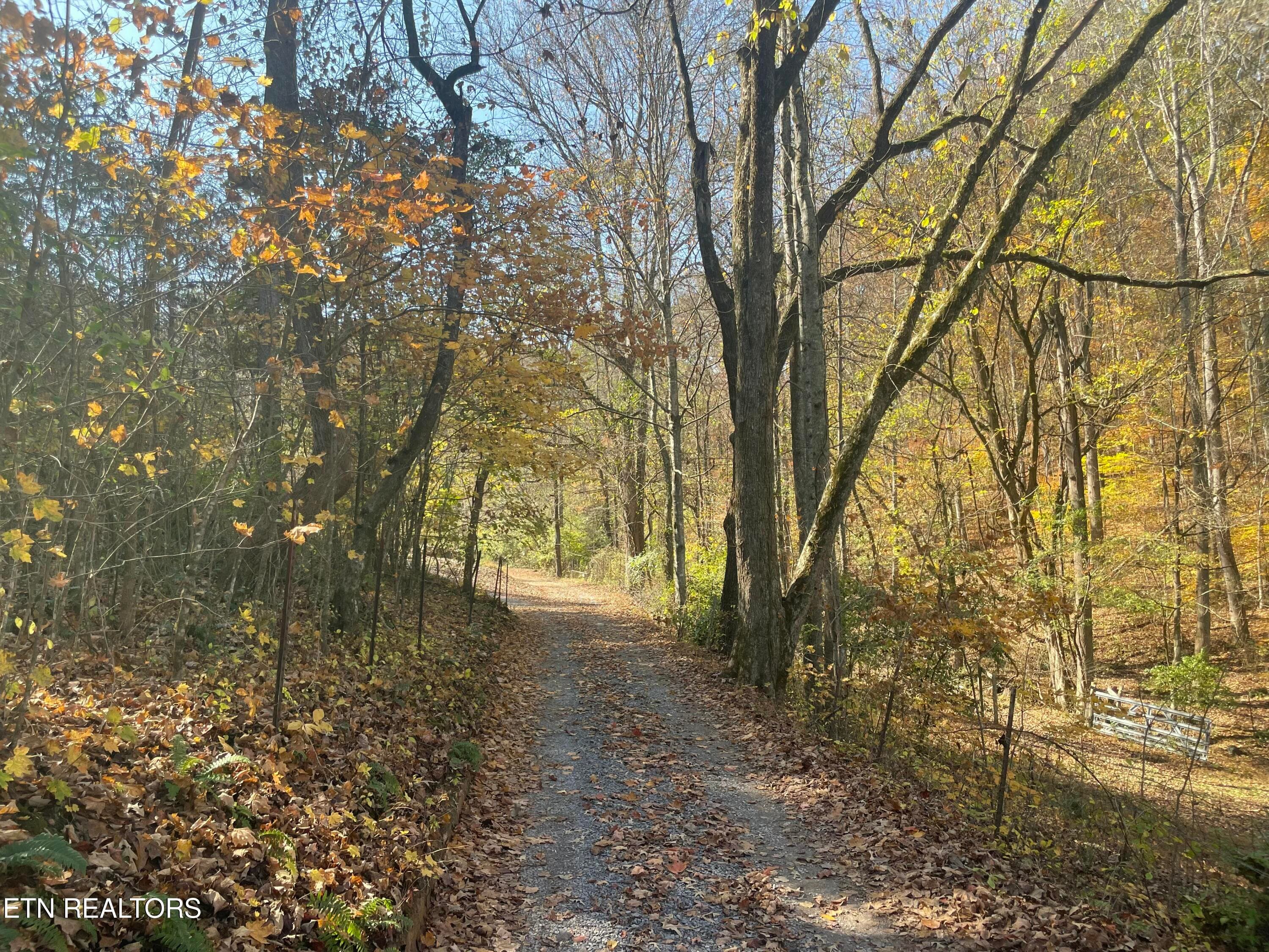 IMG_20250514_152552 - Creek Rd, Powell, TN 37849