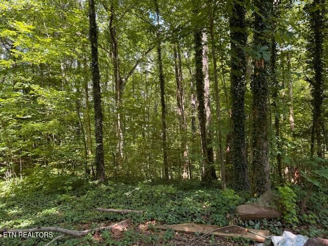 Top of Property - Bates Gibson Rd, Sevierville, TN 37876