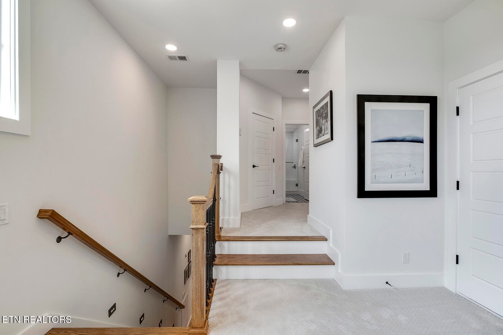 45_ShadowHillDrive_1270_StairsDown-BR4En - 1270 Shadow Hill Drive, Lenoir City, TN 37772, Lenoir City