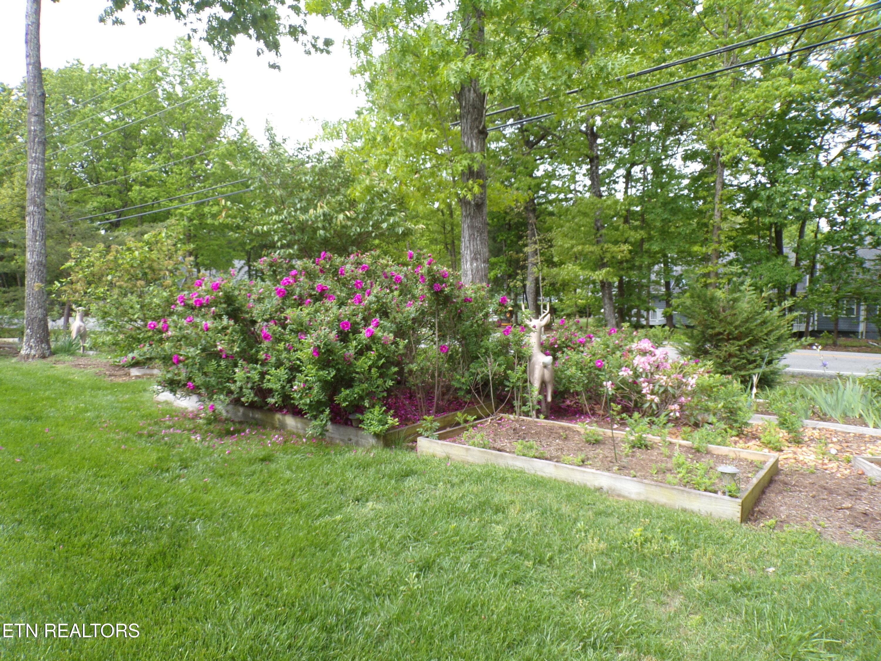 101_2521 - 116 Huntington Drive, Fairfield Glade, TN 38558