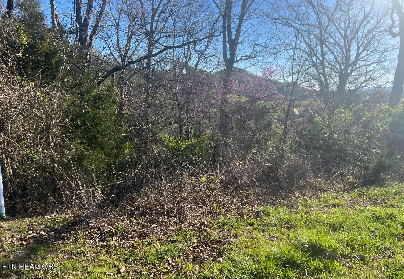 IMG_2823 - lot 356R Larayne Hollow Rd, Sharps Chapel, TN 37866