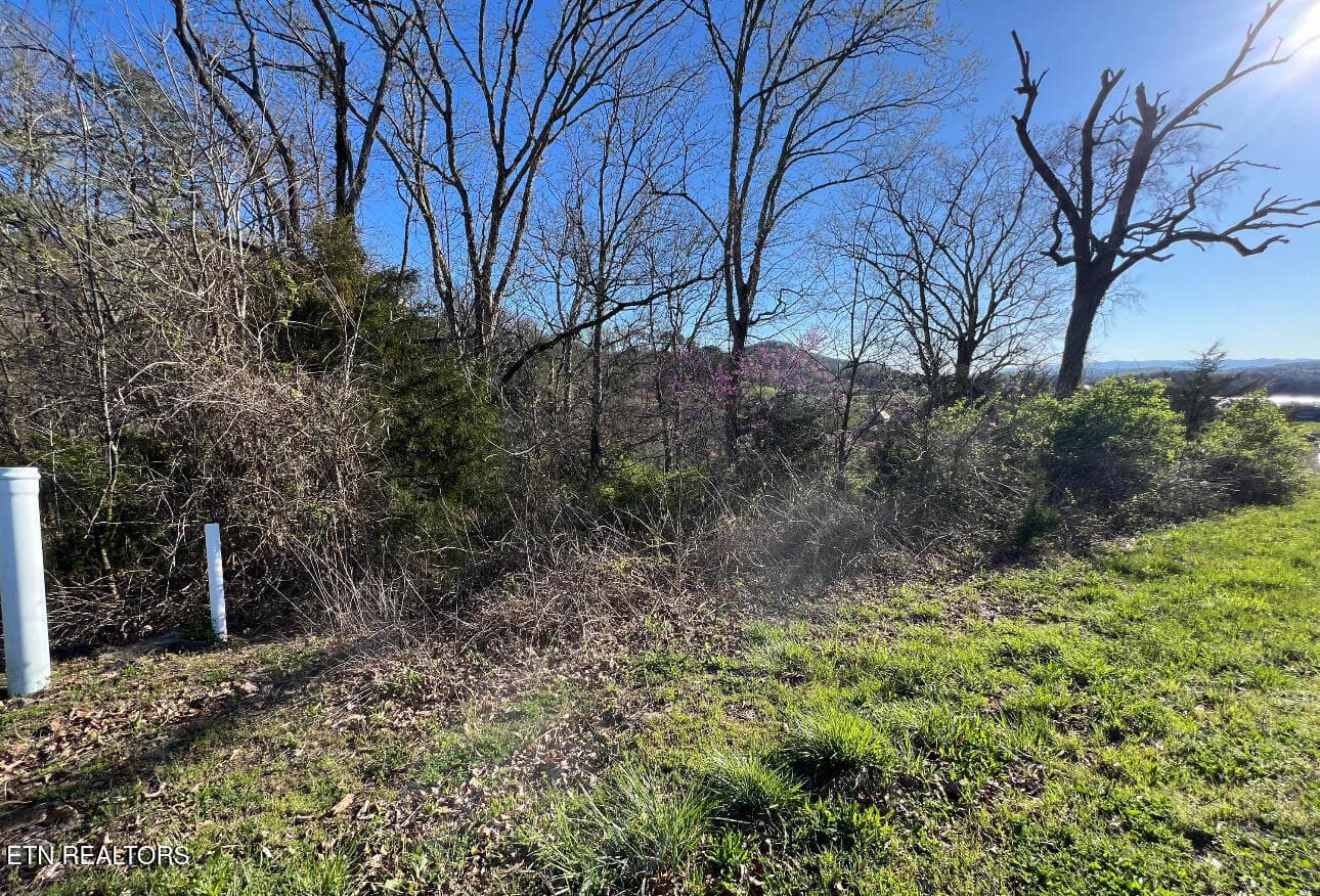 IMG_2822 - lot 356R Larayne Hollow Rd, Sharps Chapel, TN 37866