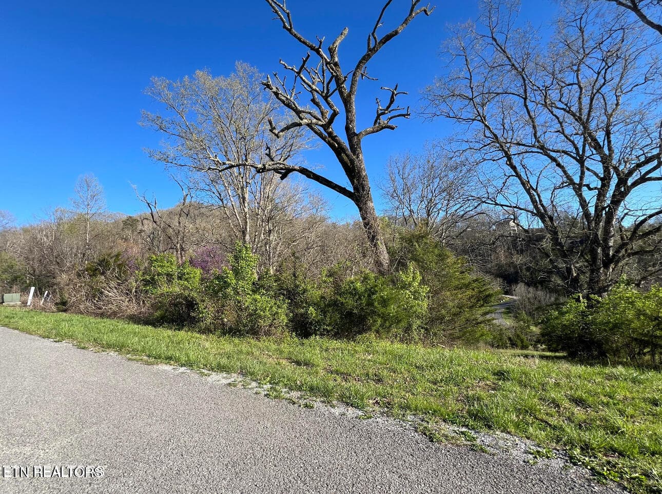 IMG_2820 - lot 356R Larayne Hollow Rd, Sharps Chapel, TN 37866