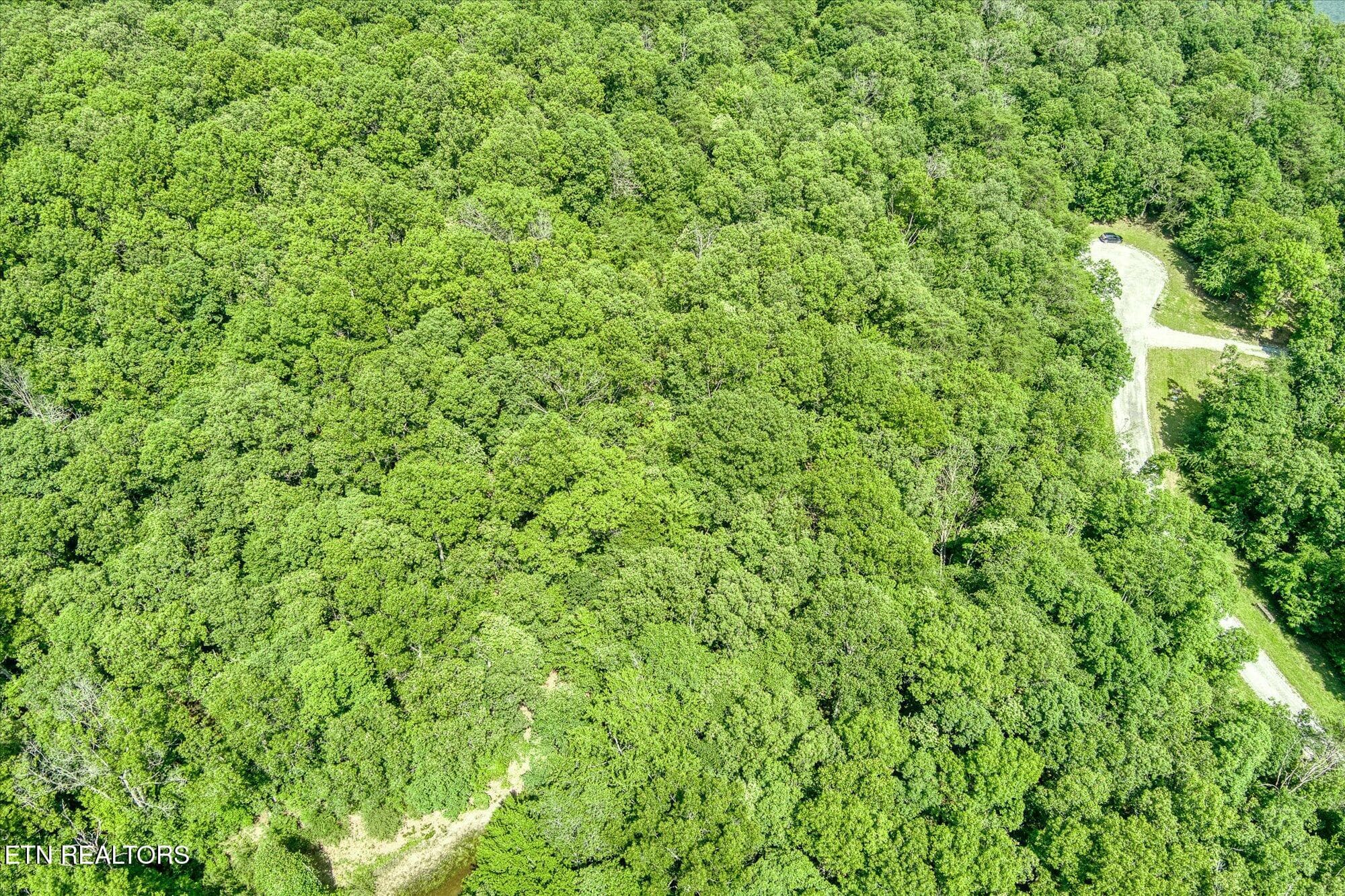 3-Hemlock Ln Spencer_022_TNPC - 0 Hemlock Lane, Spencer, TN 38585
