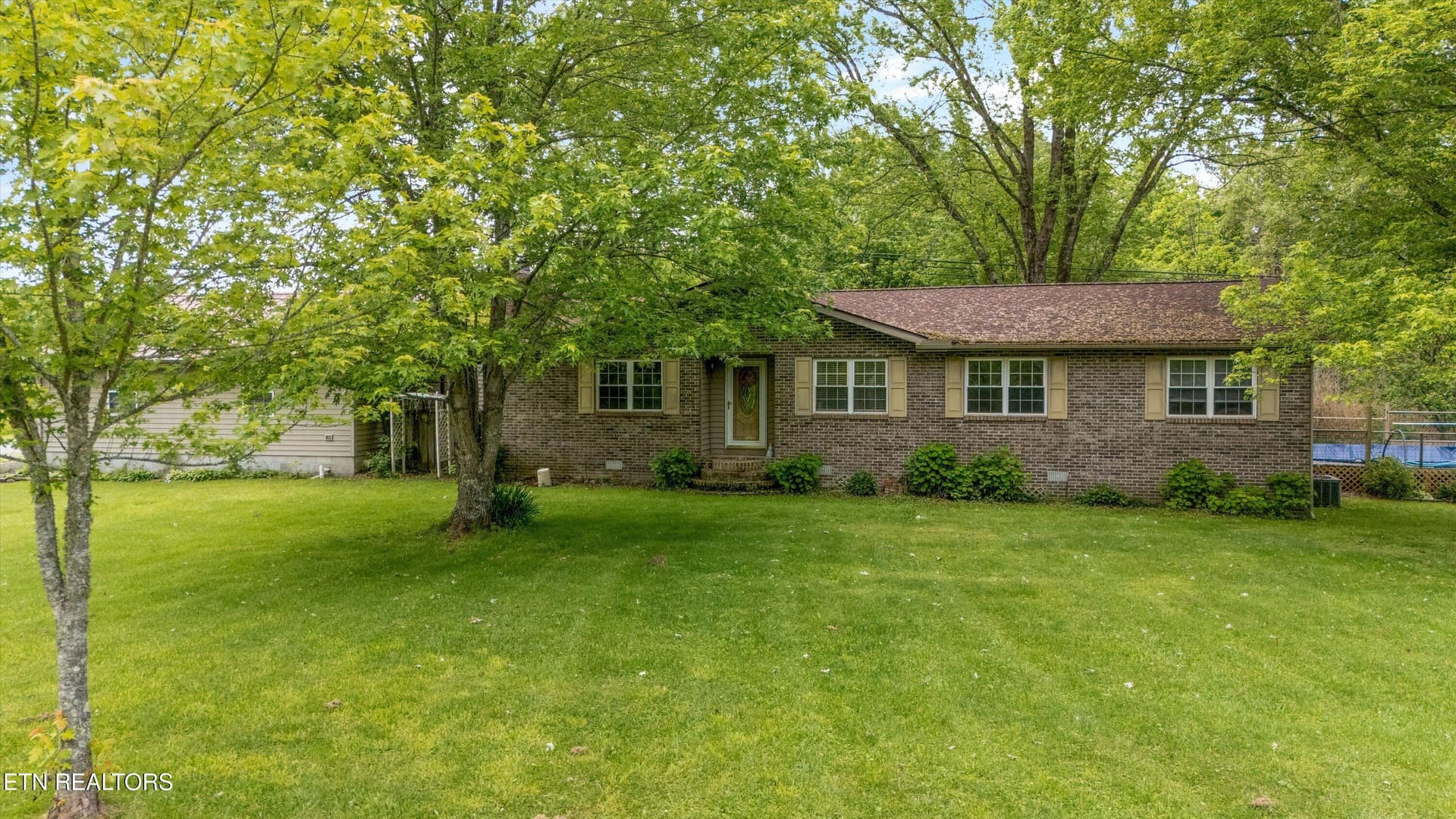 Mature Trees and Natural Beauty - 9438-0 Morgan County Hwy, Sunbright, TN 37872