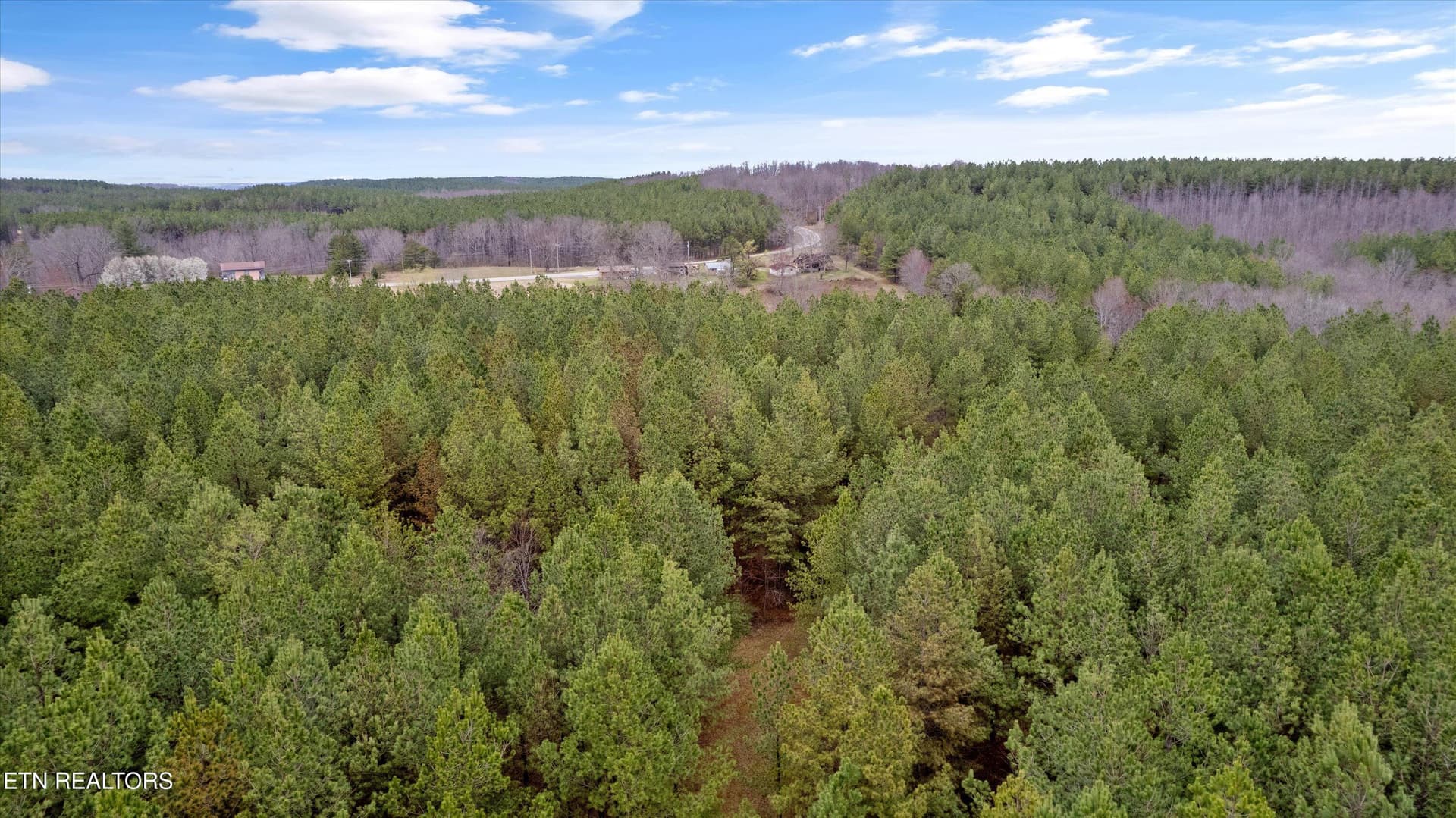 Mature Trees - 9438-0 Morgan County Hwy, Sunbright, TN 37872
