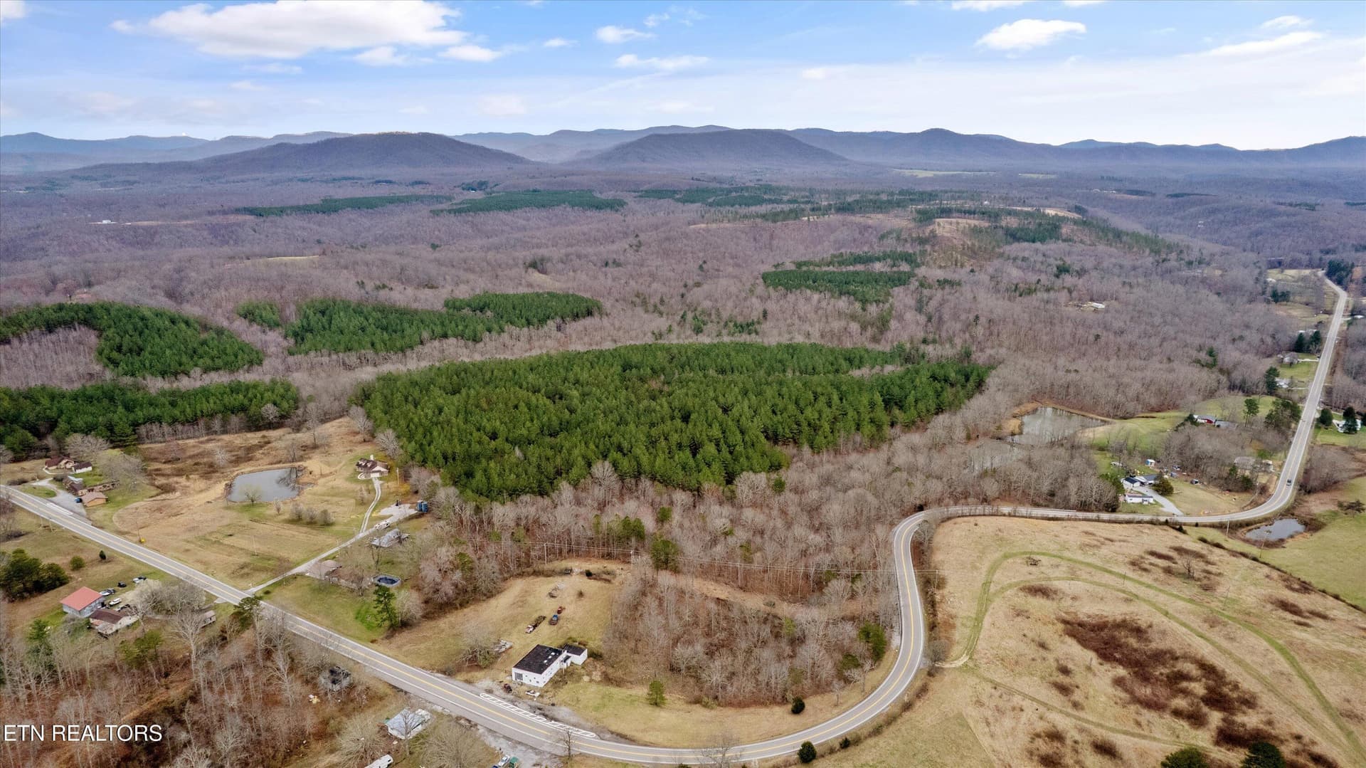 Timberland Investment Potential - 9438-0 Morgan County Hwy, Sunbright, TN 37872