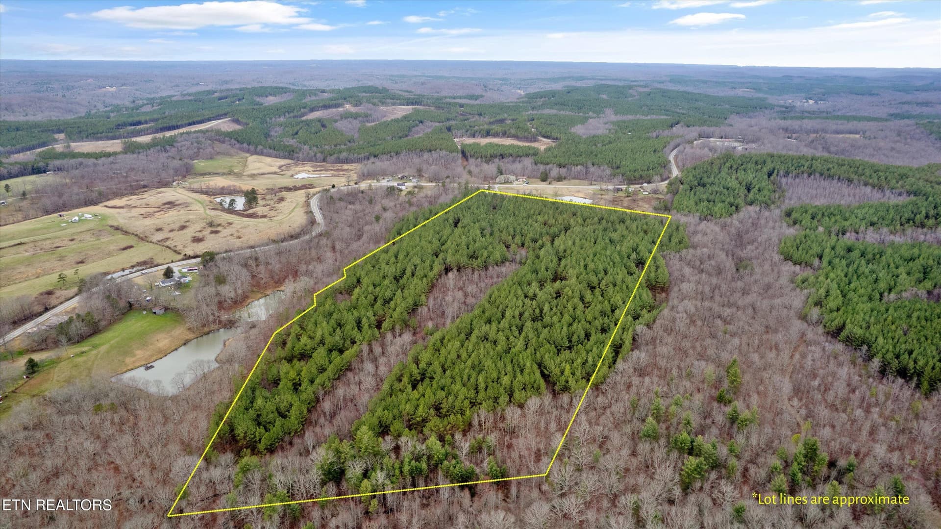 39+ Acres of scenic East Tennessee - 9438-0 Morgan County Hwy, Sunbright, TN 37872