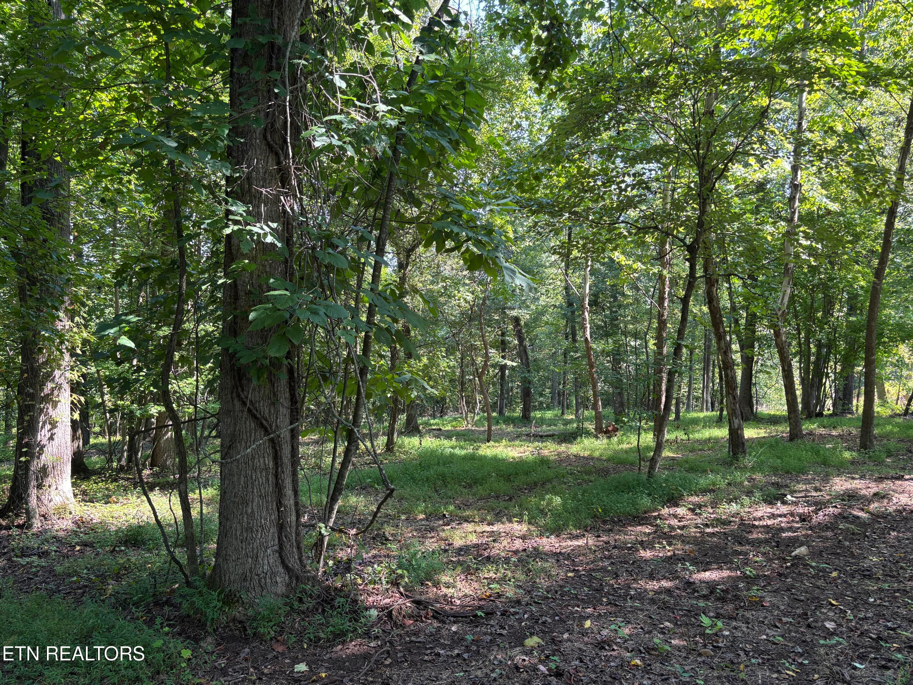 371 Walking Horse Tr, Rockwood, TN 37854
