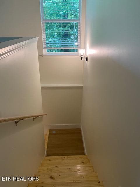 stairs to lower level living area - 1831 Granville Terrace, Knoxville, TN 37915, Knoxville