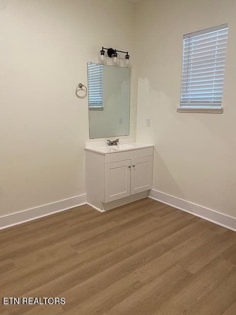 lower level bathroom - 1831 Granville Terrace, Knoxville, TN 37915, Knoxville