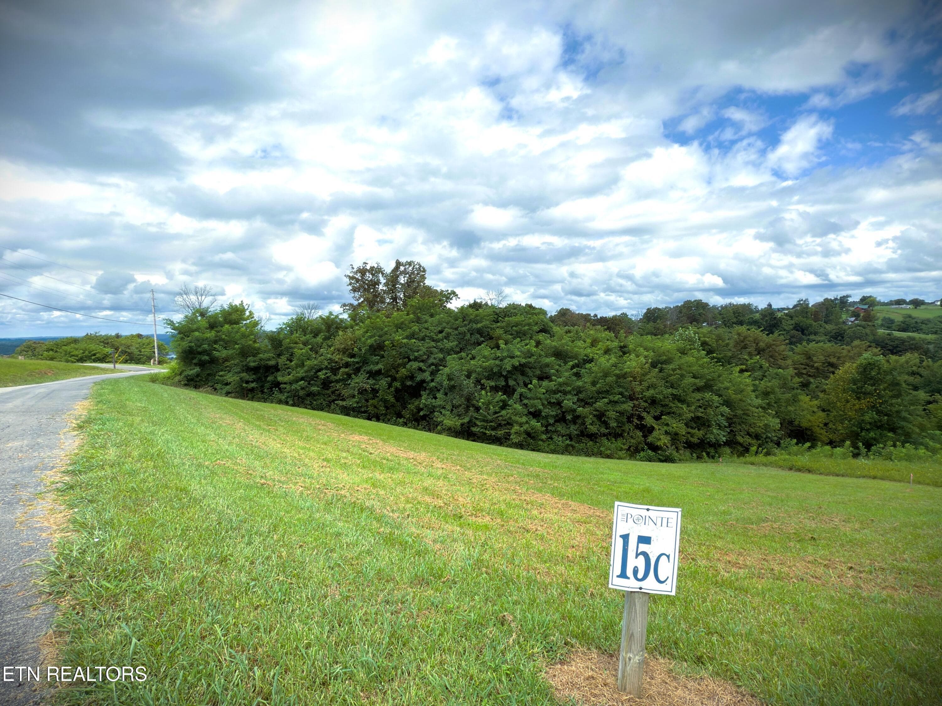 IMG_4164 - Lot 15C Swan Ridge Rd, Hilham, TN 38568