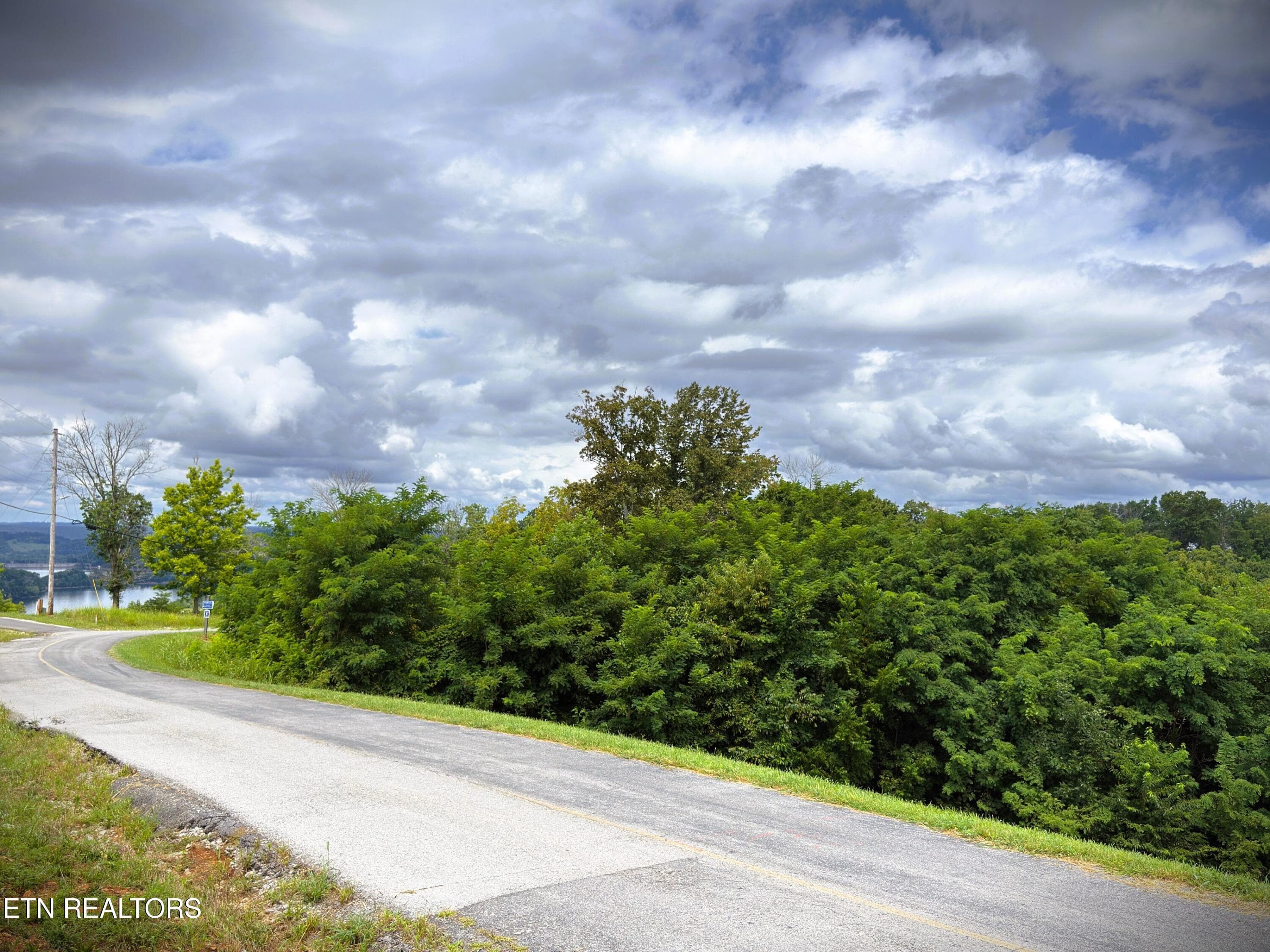 IMG_4170 - Lot 15C Swan Ridge Rd, Hilham, TN 38568
