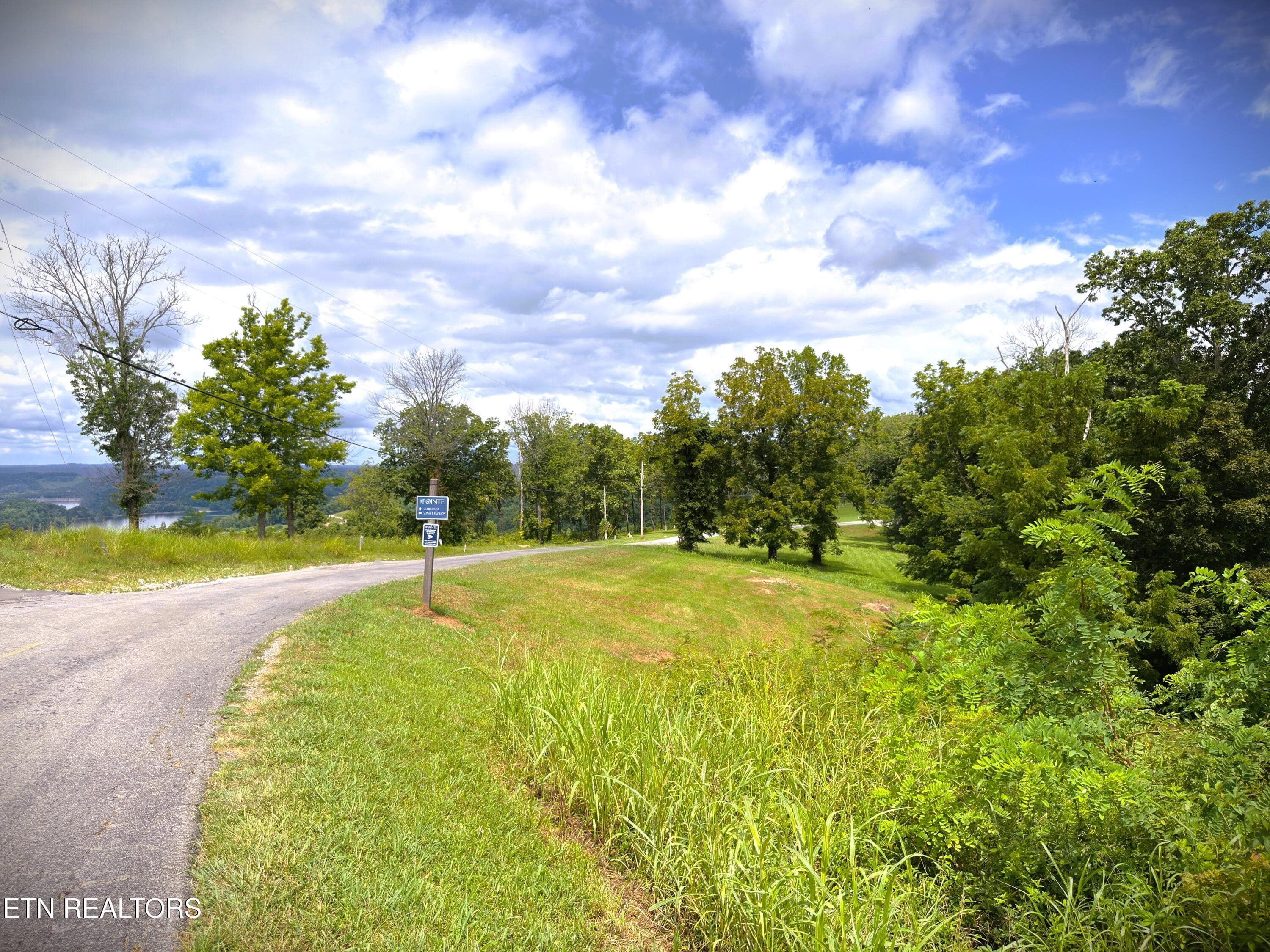 IMG_4175 - Lot 15C Swan Ridge Rd, Hilham, TN 38568