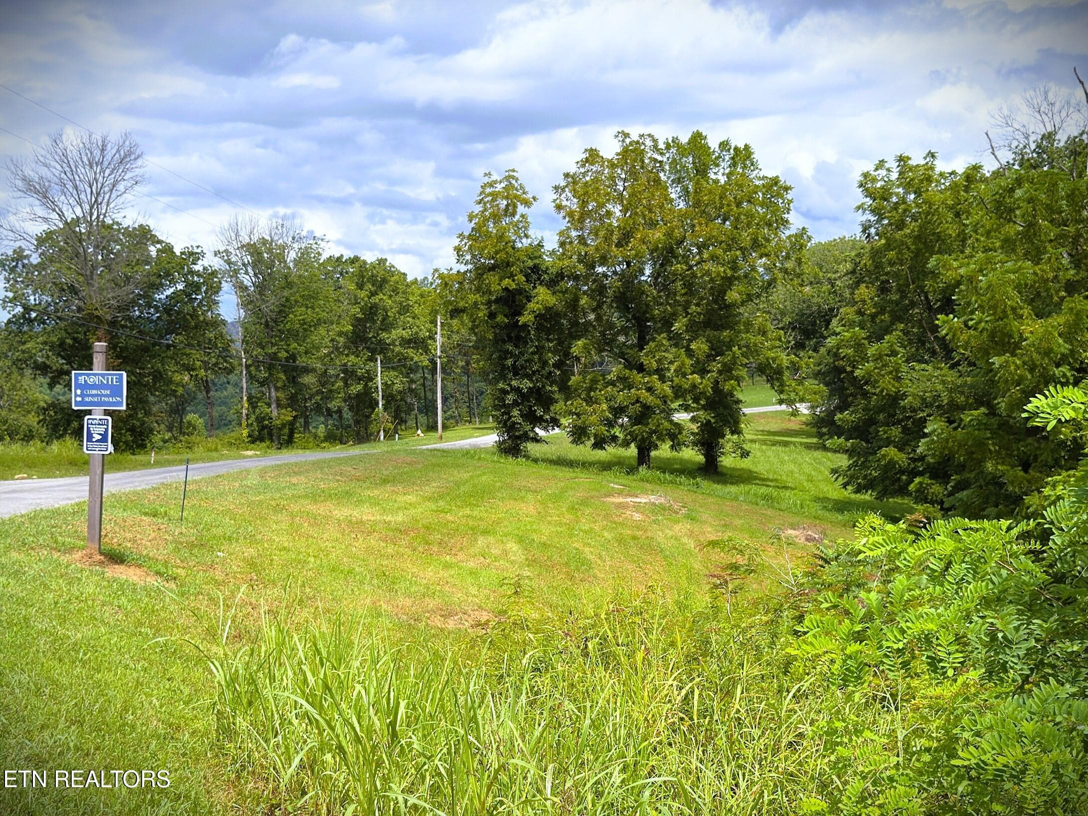 IMG_4176 - Lot 15C Swan Ridge Rd, Hilham, TN 38568