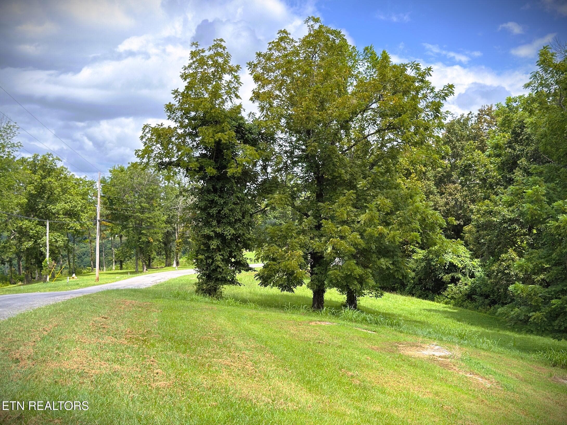 IMG_4178 - Lot 15C Swan Ridge Rd, Hilham, TN 38568