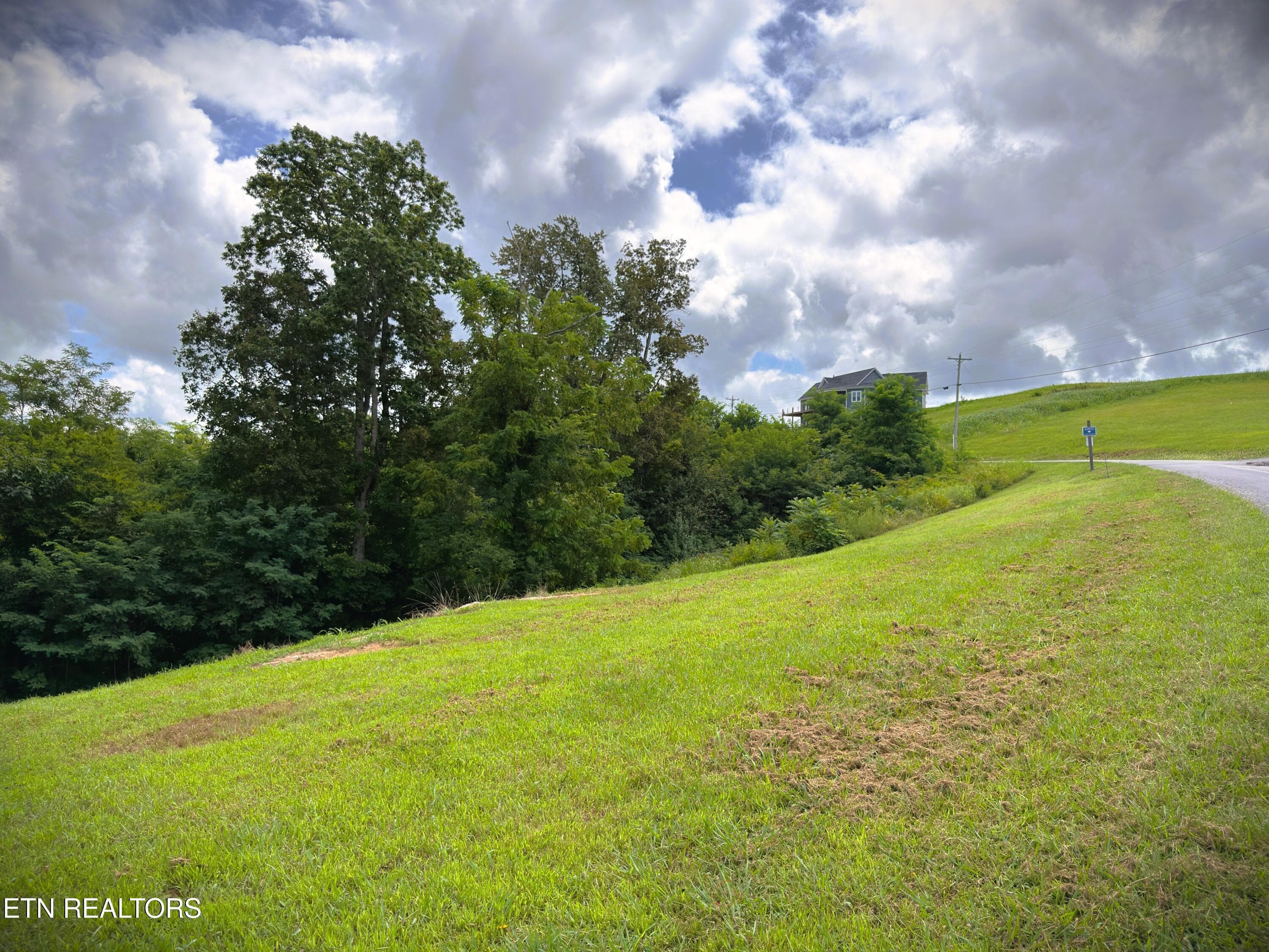 IMG_4180 - Lot 15C Swan Ridge Rd, Hilham, TN 38568