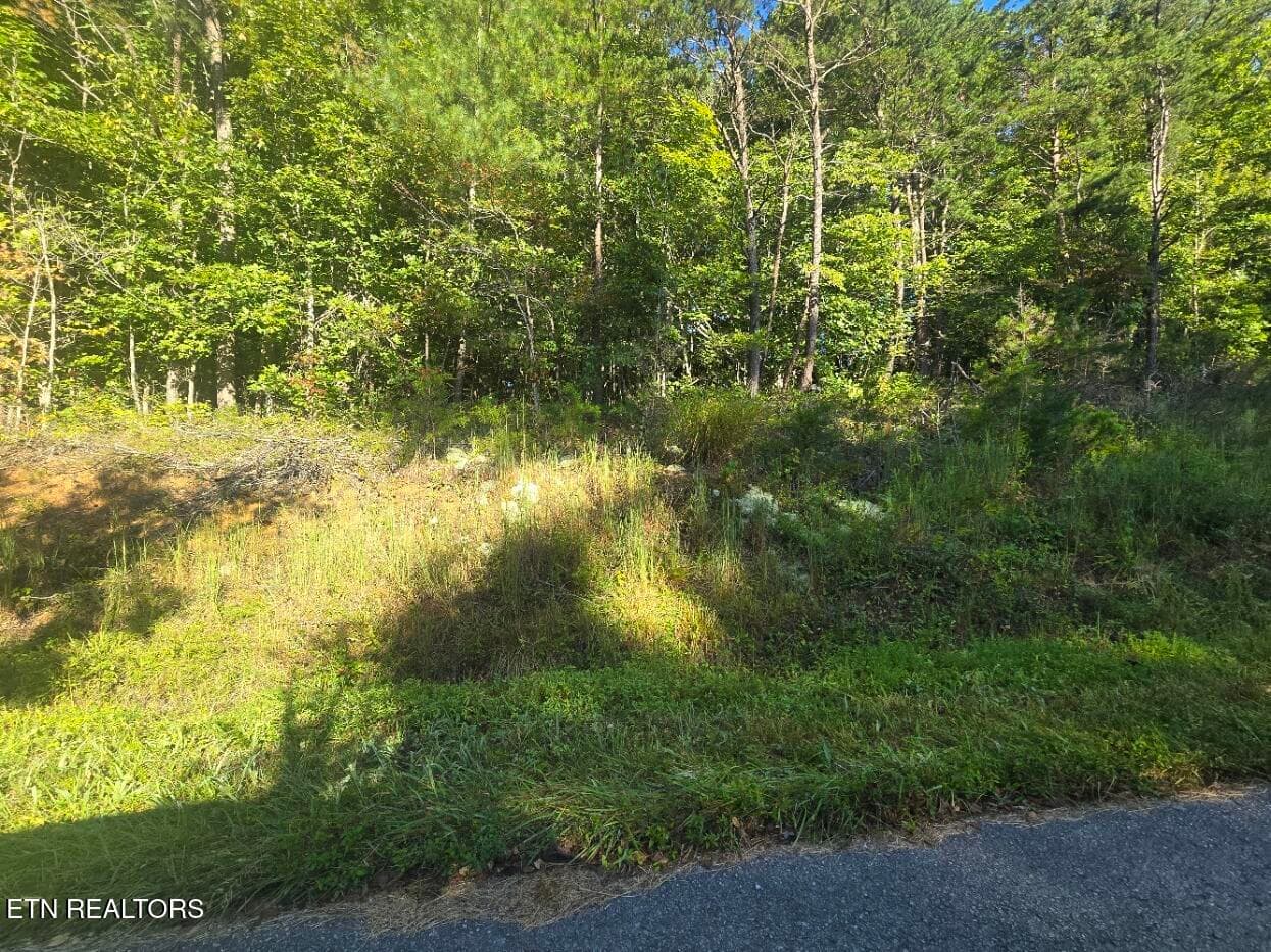 Lot 25-26 Summit Drive, Oneida, TN 37841