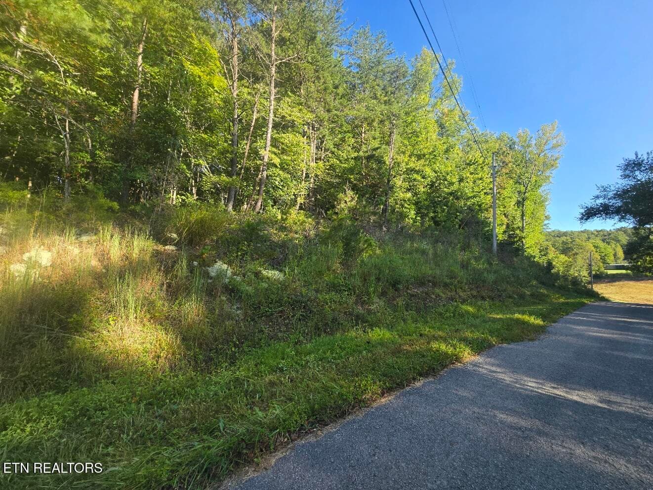 20250908_093425 - Lot 25-26 Summit Drive, Oneida, TN 37841