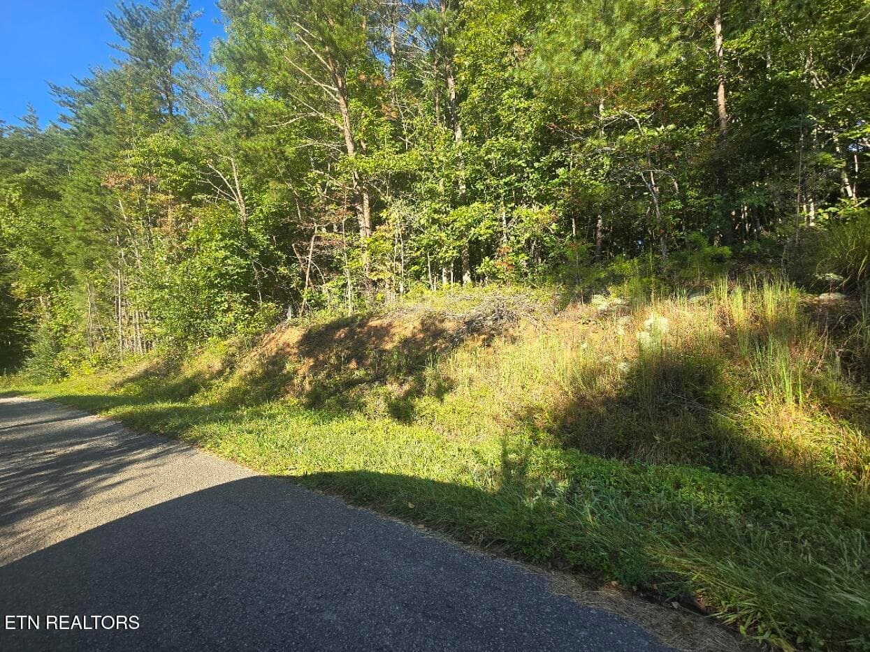 20250908_093428 - Lot 25-26 Summit Drive, Oneida, TN 37841