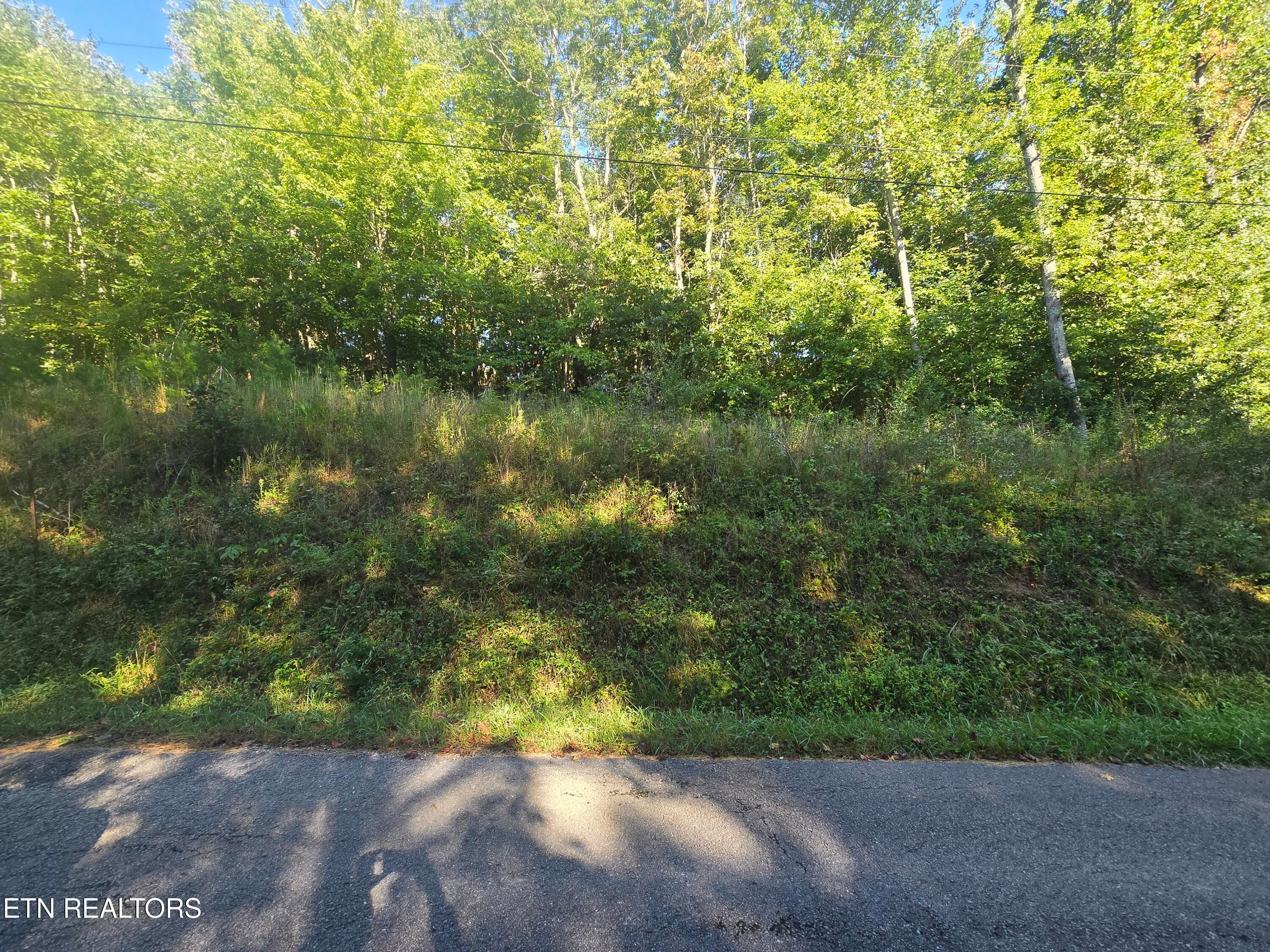20250908_093215 - Lot 27-28 Summit Drive, Oneida, TN 37841