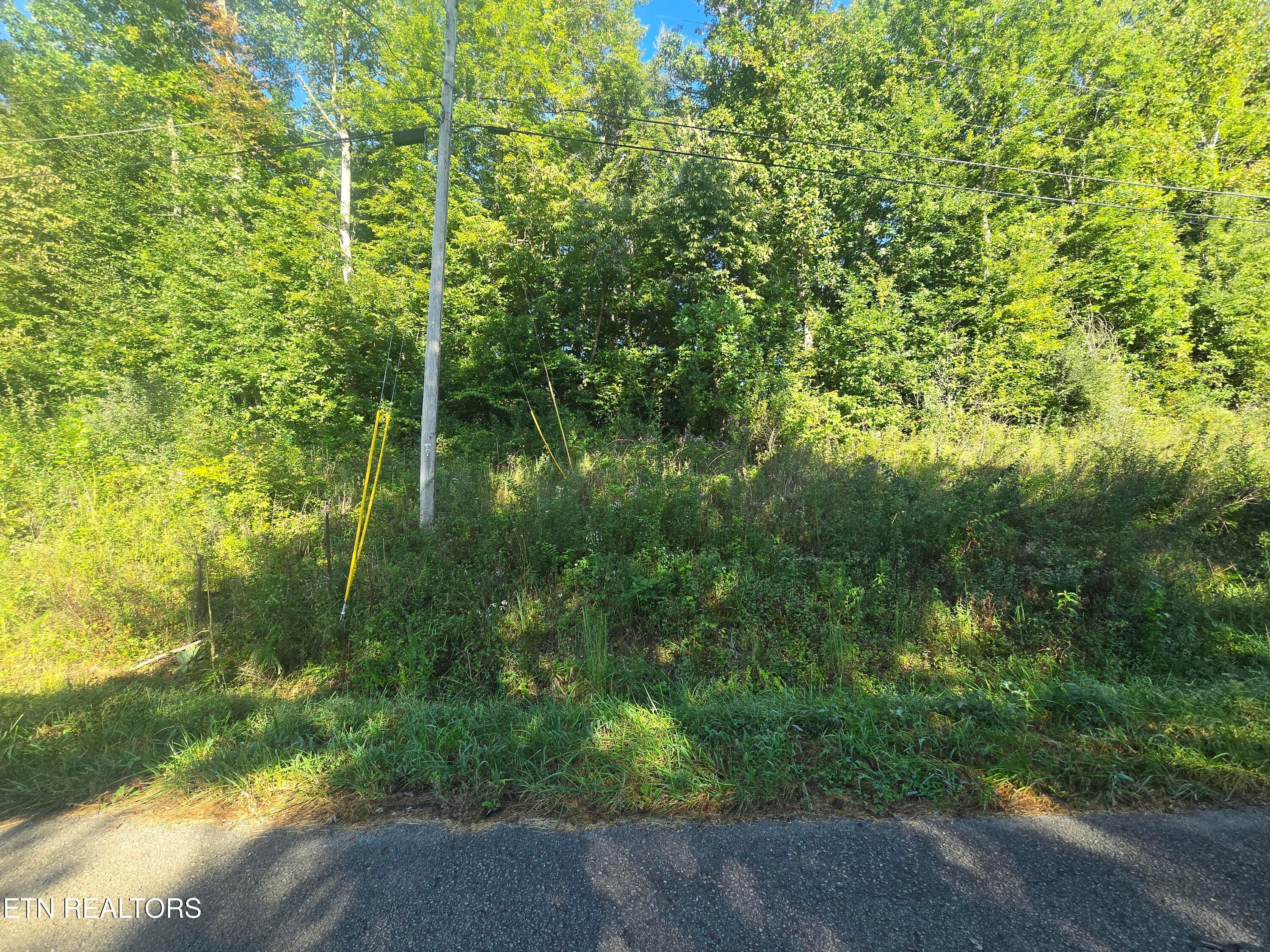 20250908_093128 - Lot 27-28 Summit Drive, Oneida, TN 37841