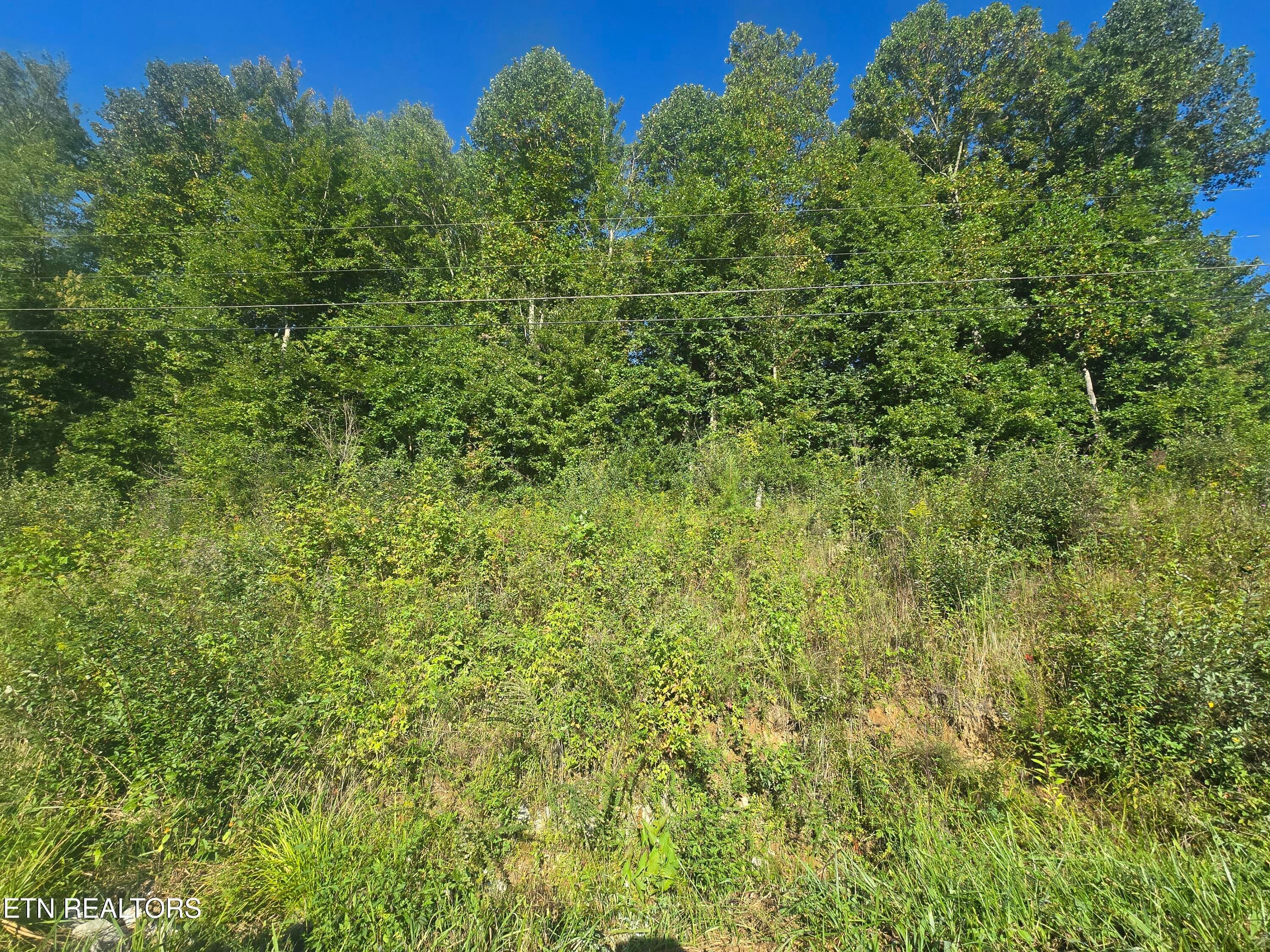 20250908_092900 - Lot 27-28 Summit Drive, Oneida, TN 37841