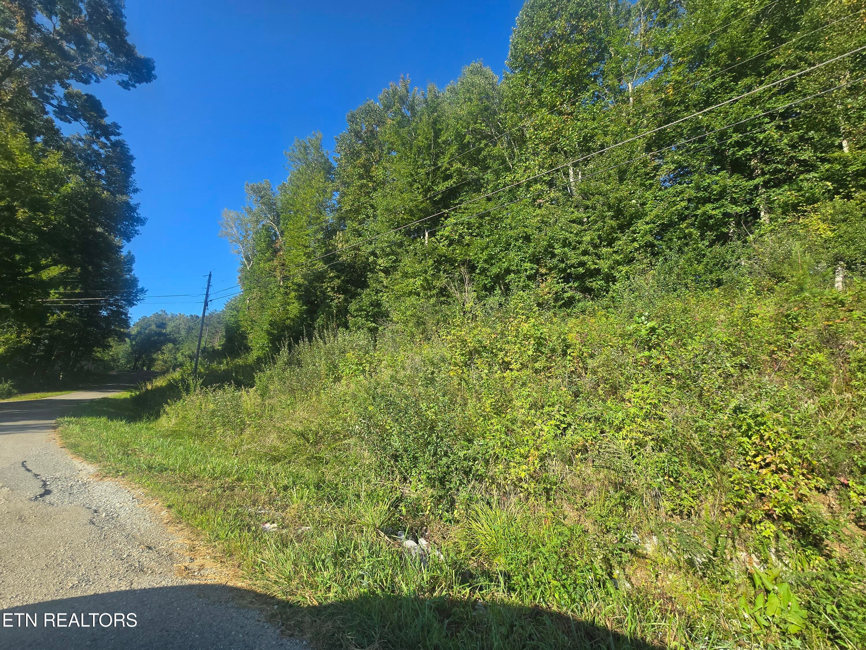 20250908_092856 - Lot 27-28 Summit Drive, Oneida, TN 37841