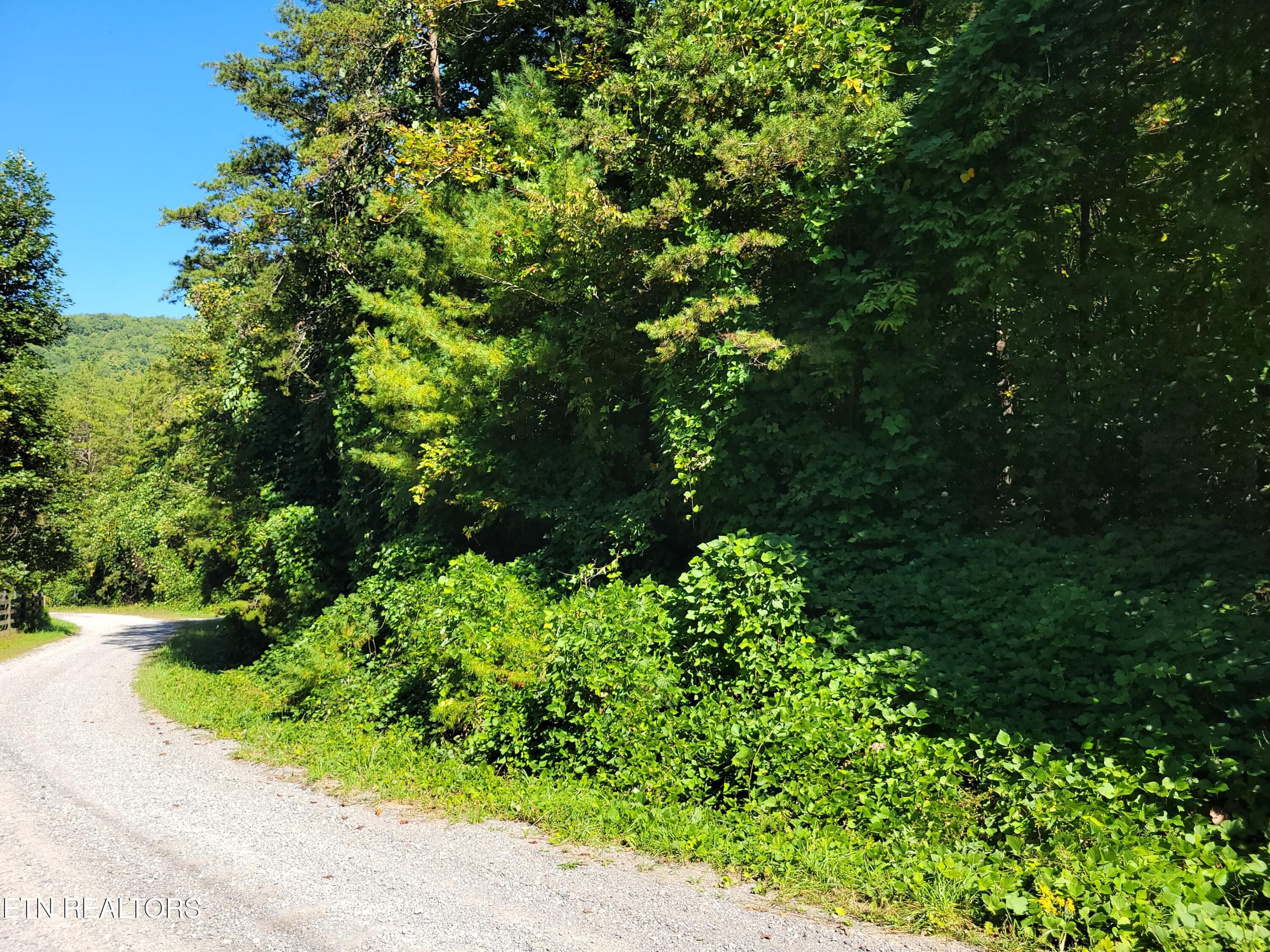 20250919_112128 - Lot 39 Sugar Maple Way, Del Rio, TN 37727