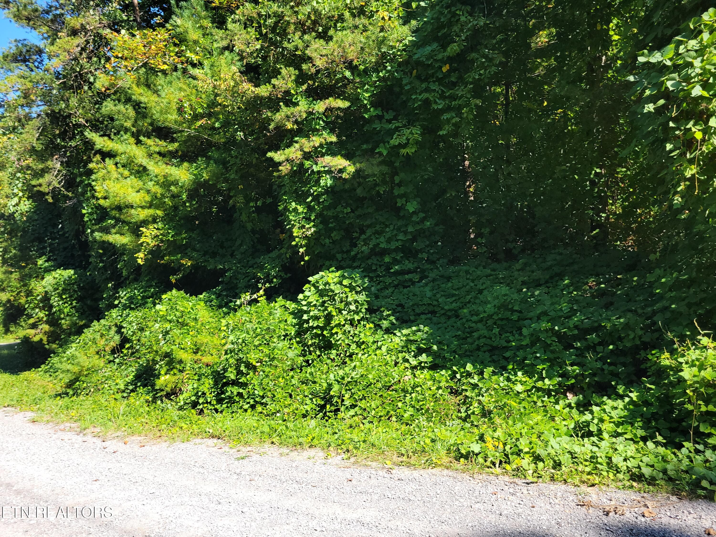 20250919_112123 - Lot 39 Sugar Maple Way, Del Rio, TN 37727