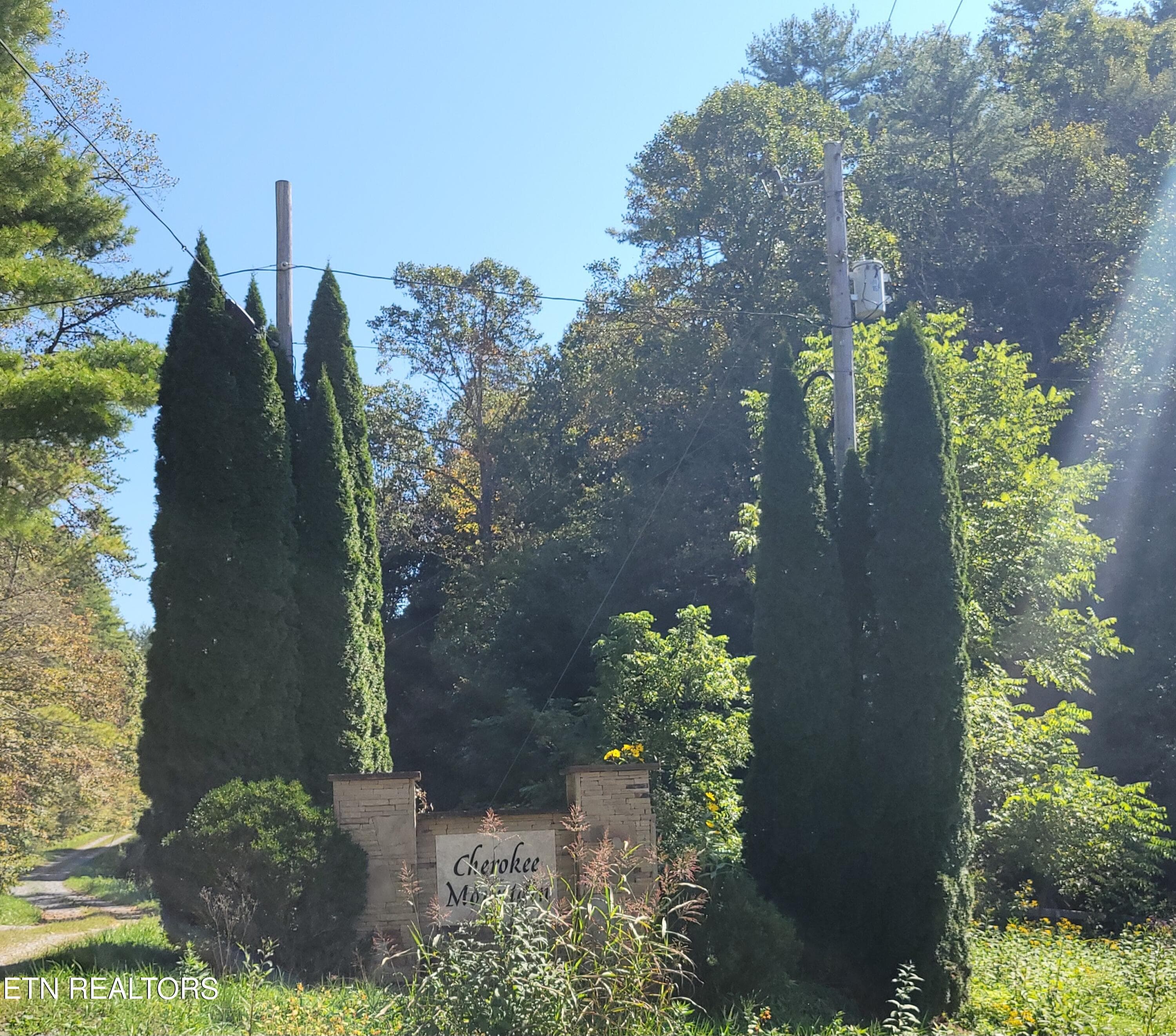 Lot 39 Sugar Maple Way, Del Rio, TN 37727
