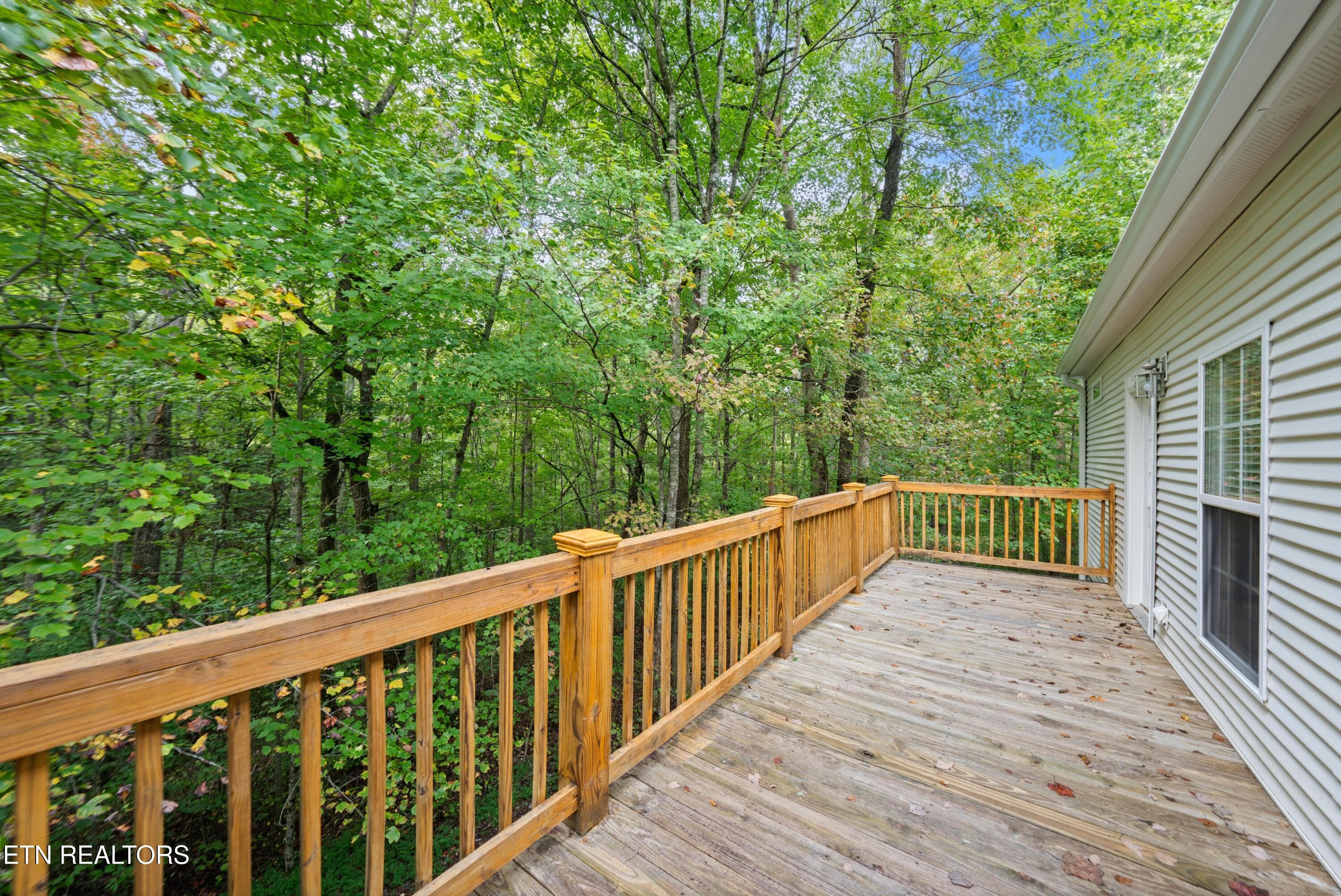 DSC06450 - 359 E Cove Rd, Monterey, TN 38574