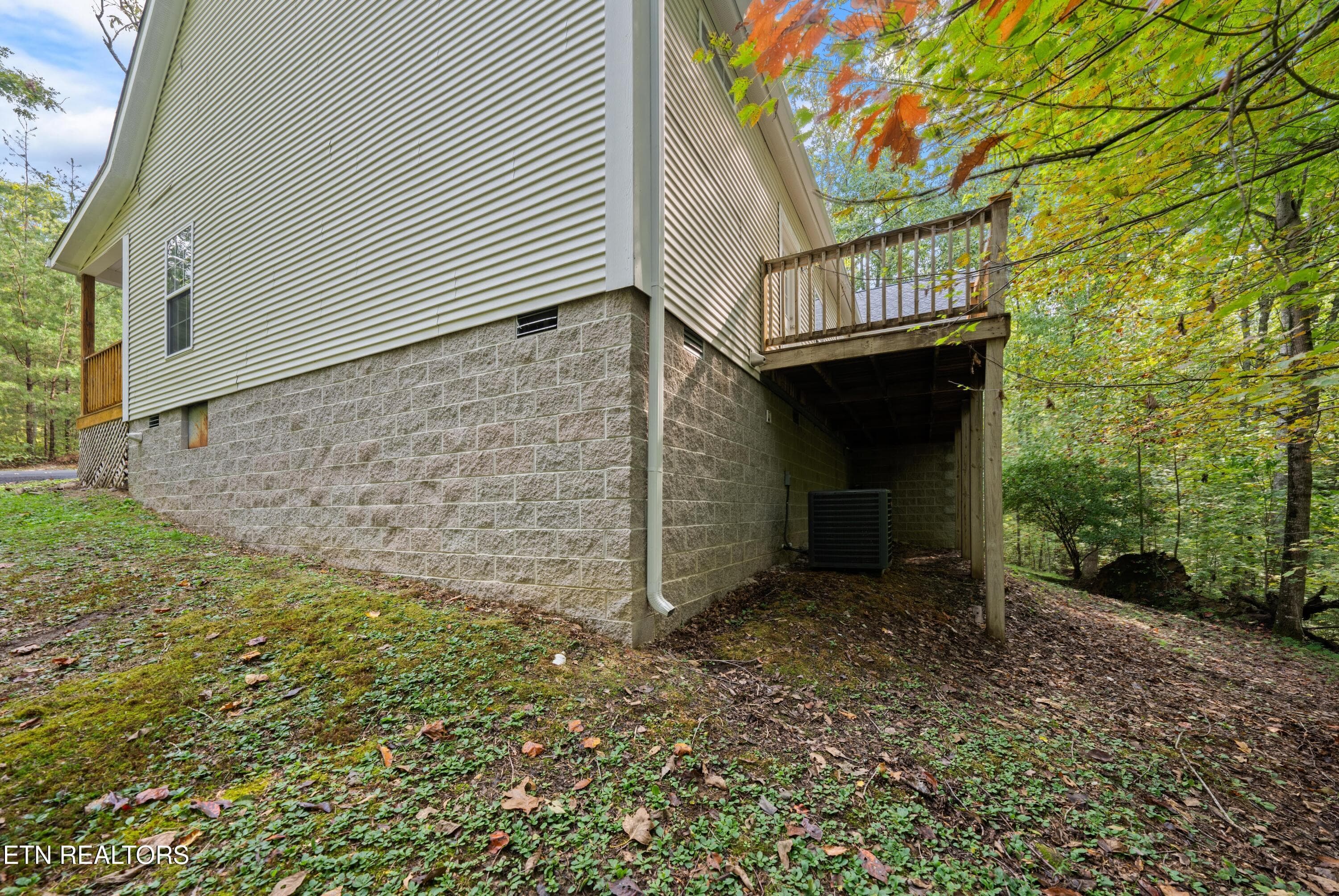 DSC06470 - 359 E Cove Rd, Monterey, TN 38574