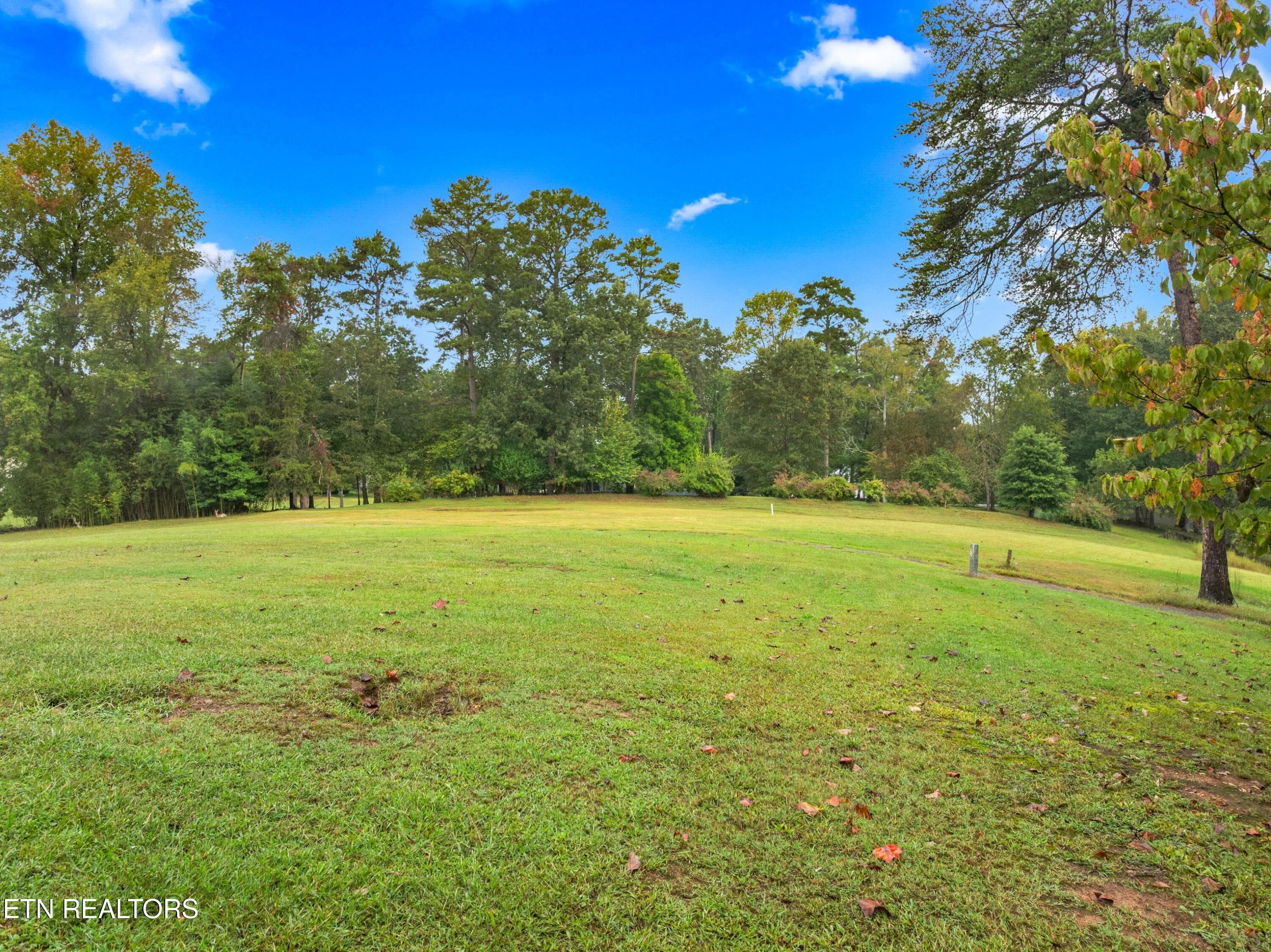042-3320HazelwoodCourt-Baneberry-TN-3789 - 3320 Hazelwood Court, Baneberry, TN 37890