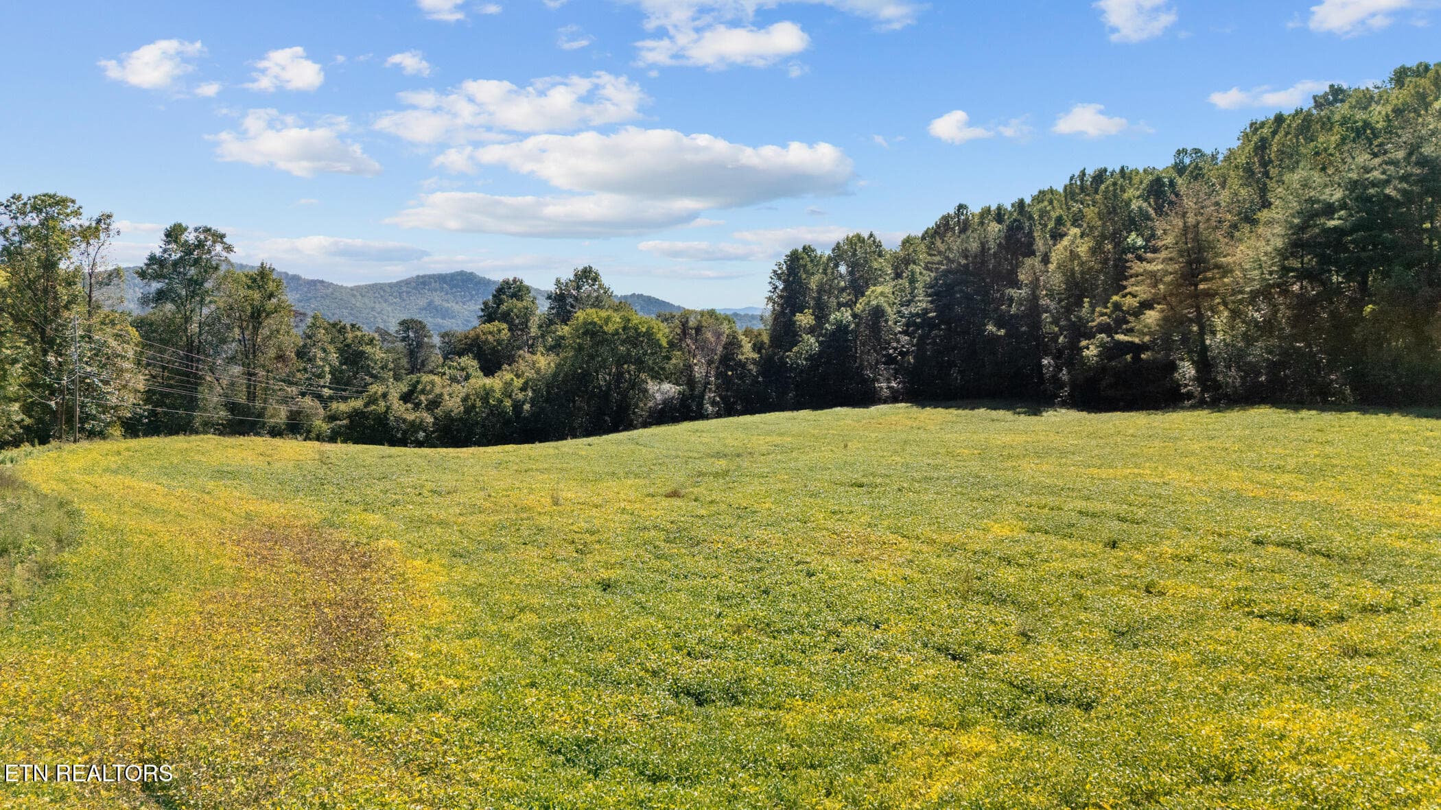 dji_20250929114405_0990_d - 0 Jones Cove Rd, Cosby, TN 37722