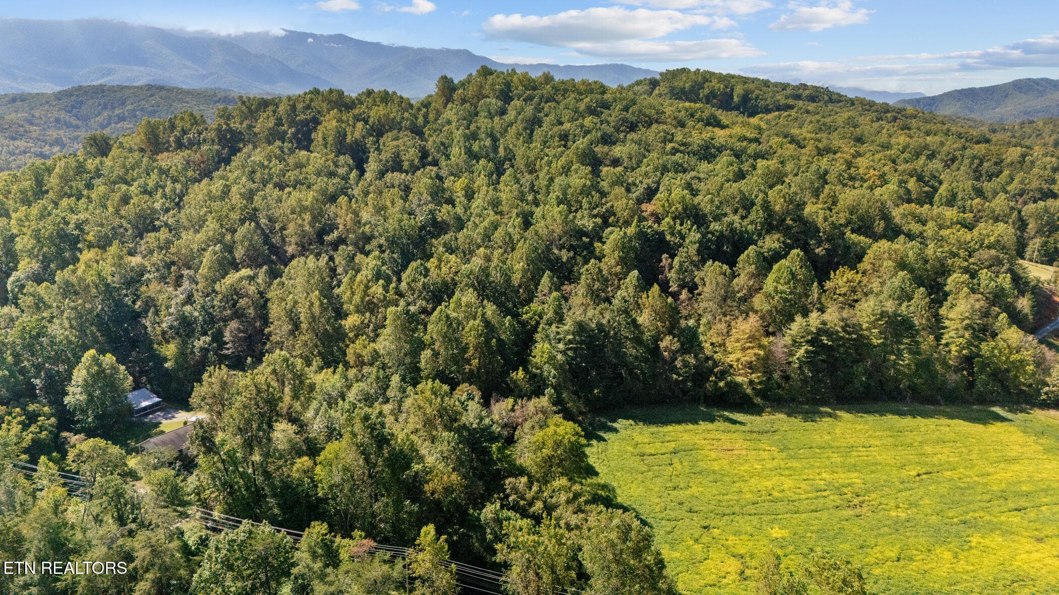 dji_20250929115239_0034_d - 0 Jones Cove Rd, Cosby, TN 37722