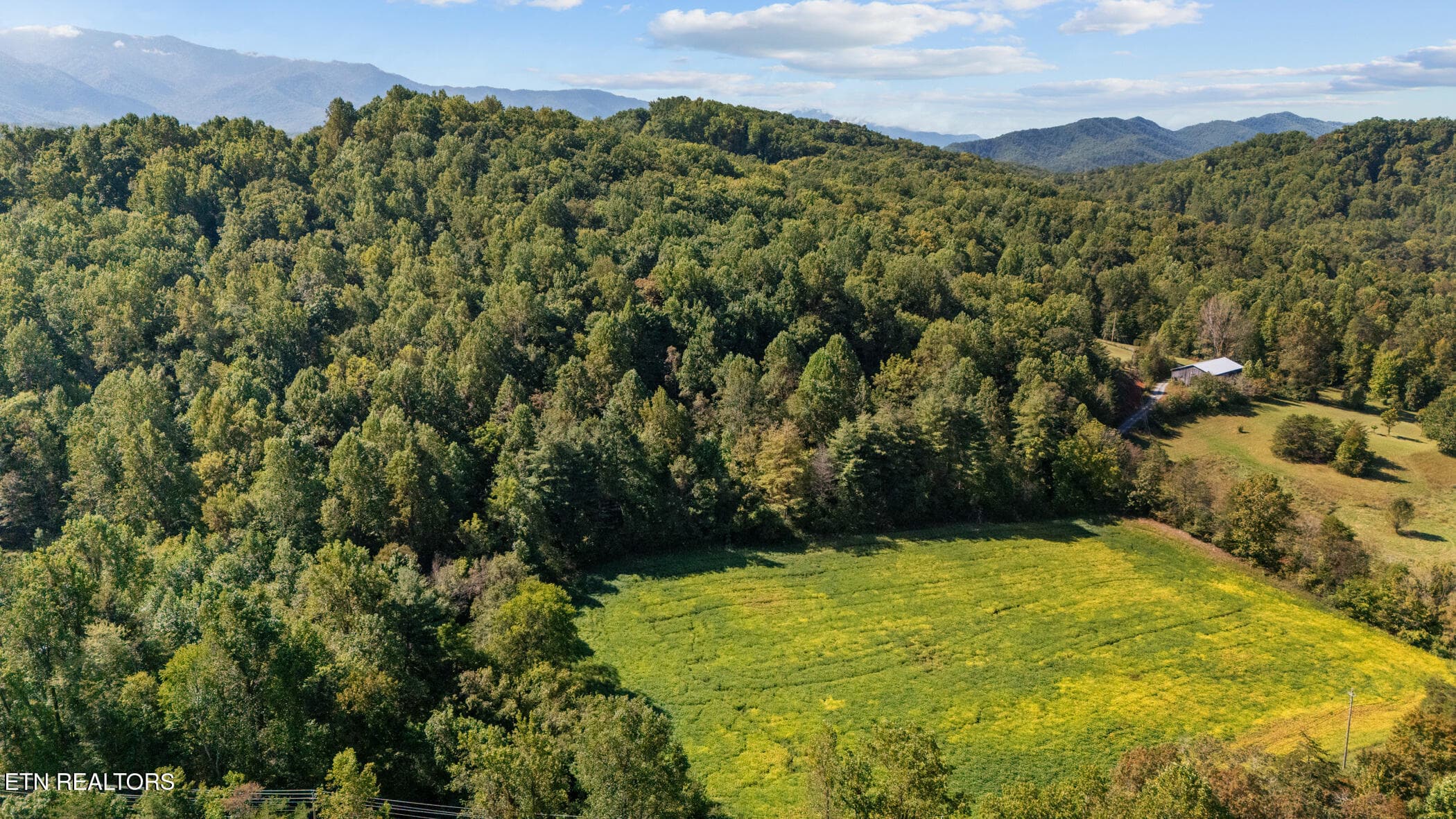 dji_20250929115245_0037_d - 0 Jones Cove Rd, Cosby, TN 37722