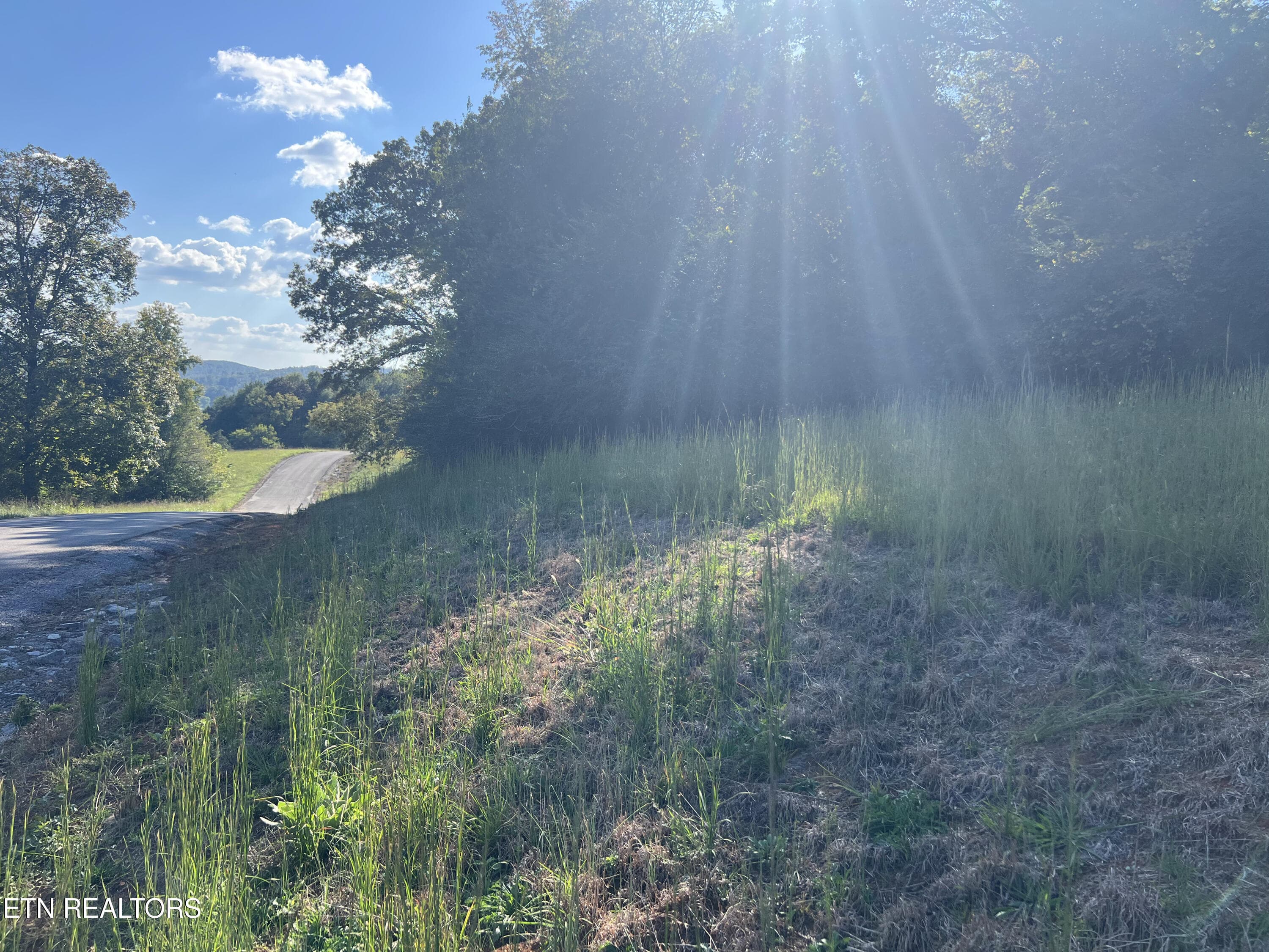 IMG_5944 - Lot 34 Goodfield Terrace, Decatur, TN 37322
