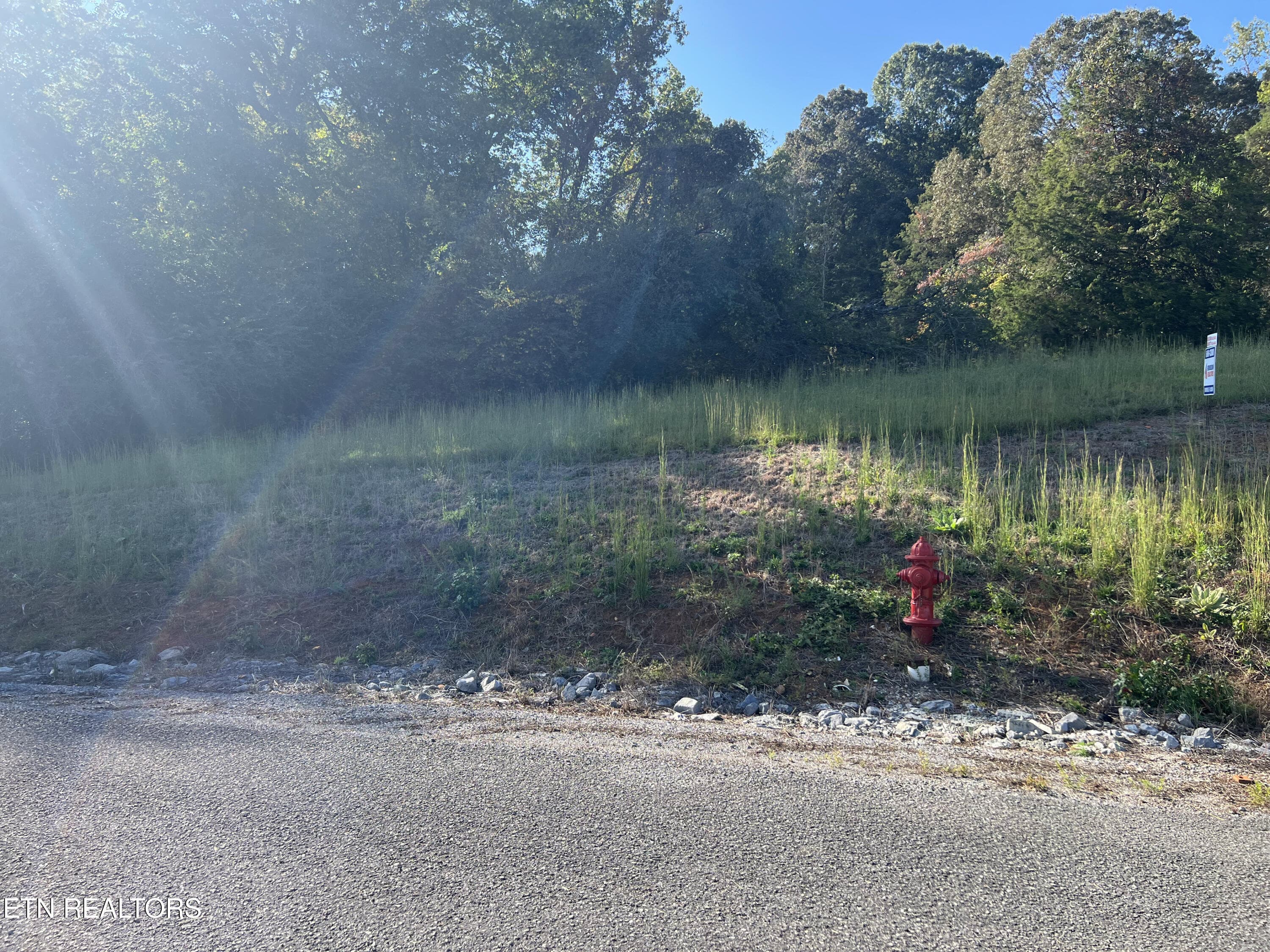 IMG_5947 - Lot 34 Goodfield Terrace, Decatur, TN 37322