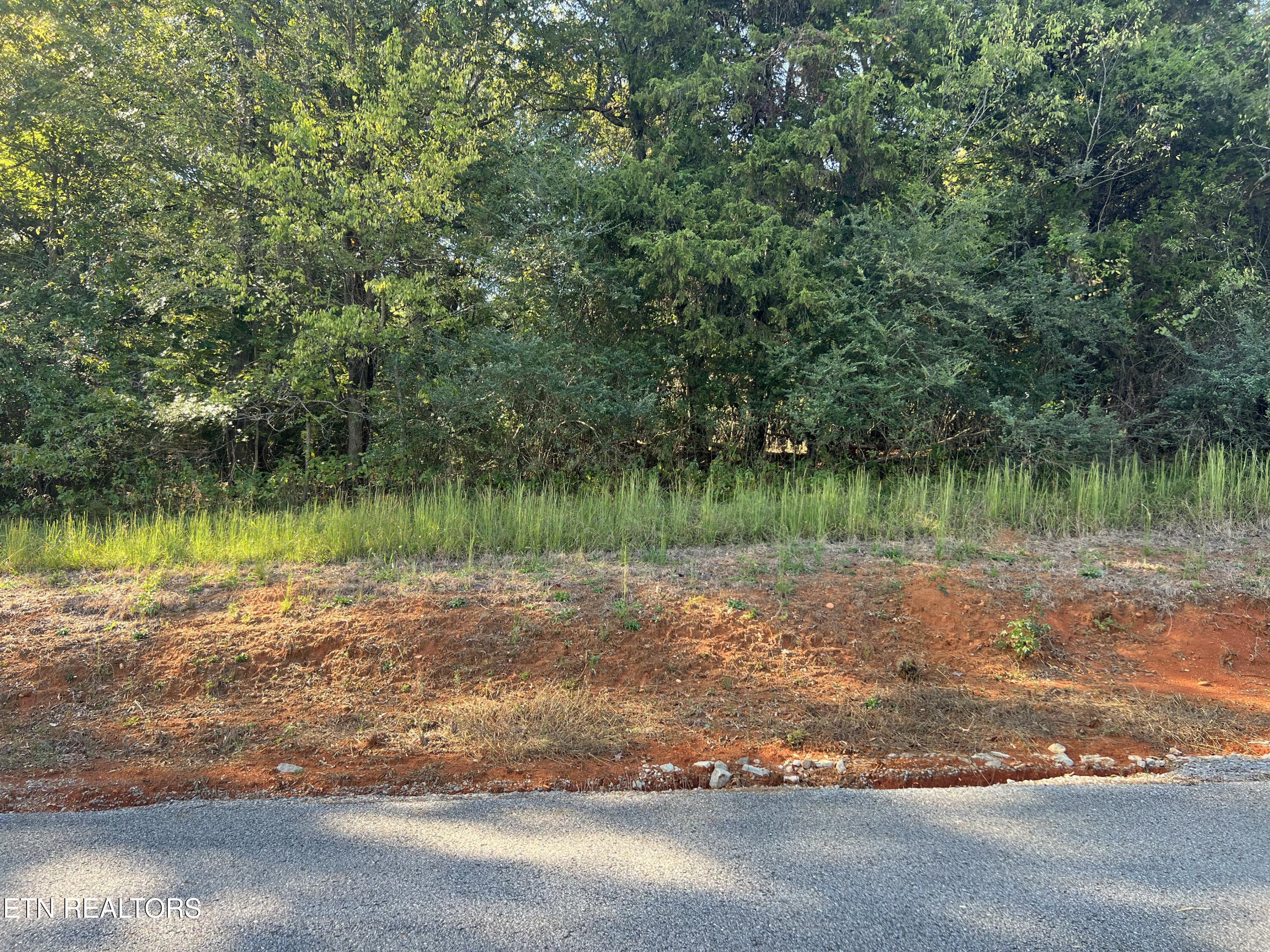 IMG_5949 - Lot 34 Goodfield Terrace, Decatur, TN 37322